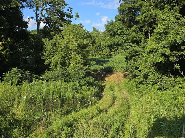 Soldiers Grove, Wisconsin, 54655, United States, ,Residential,For Sale,1904282