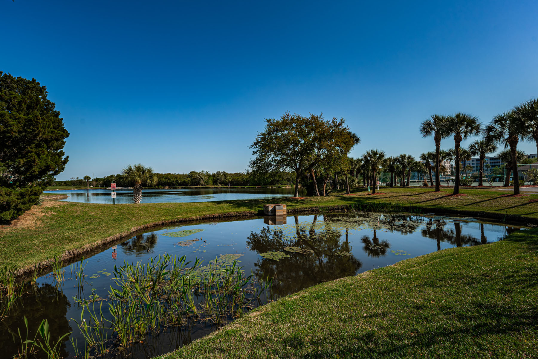  LONG BAYOU - 物件實景