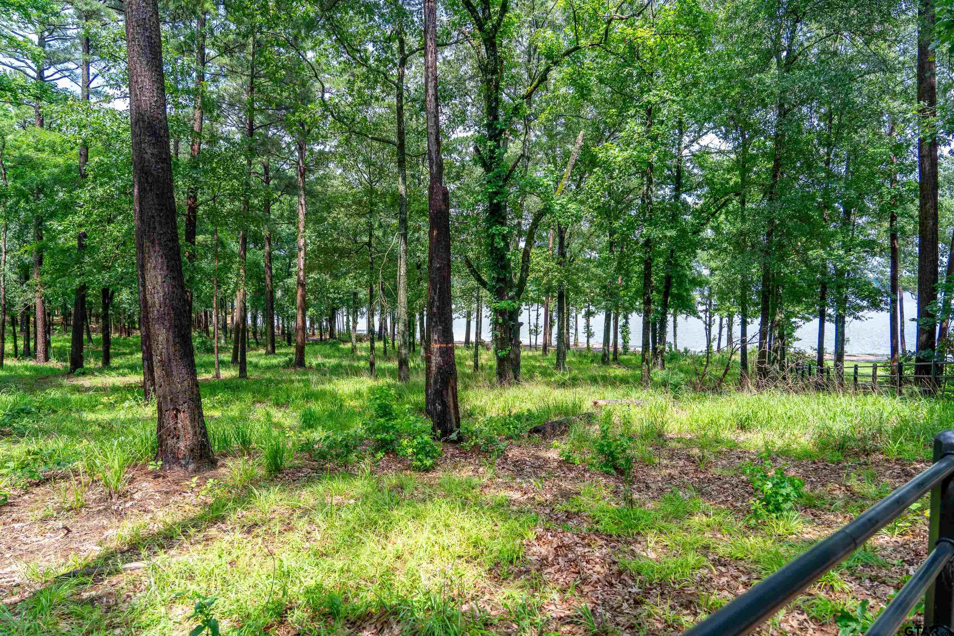 Scroggins, Texas, 75480, United States, ,Land,For Sale,1975863
