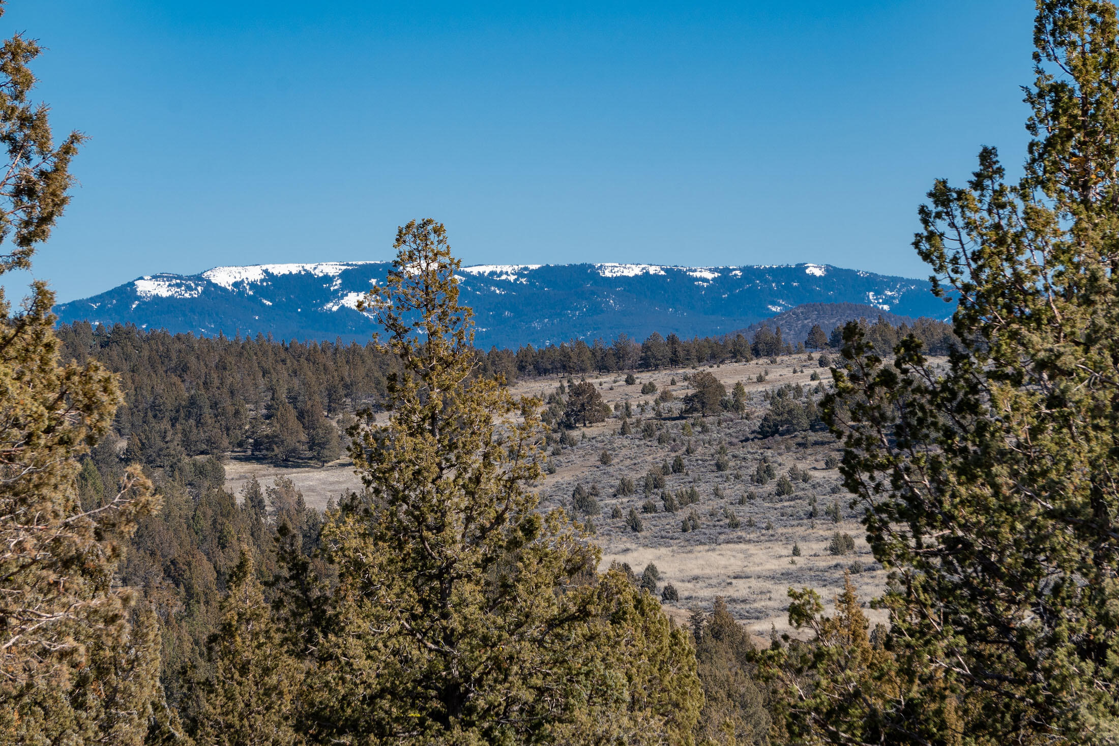 5896 Johnson Creek Road, Prineville, Oregon, 97754, United States, ,Land,For Sale,5896 Johnson Creek Road,1609135