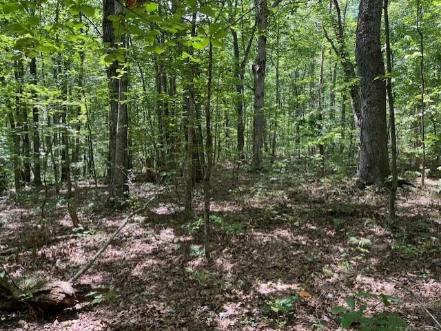 Graysville, Tennessee, 37338, United States, ,Residential,For Sale,1943907