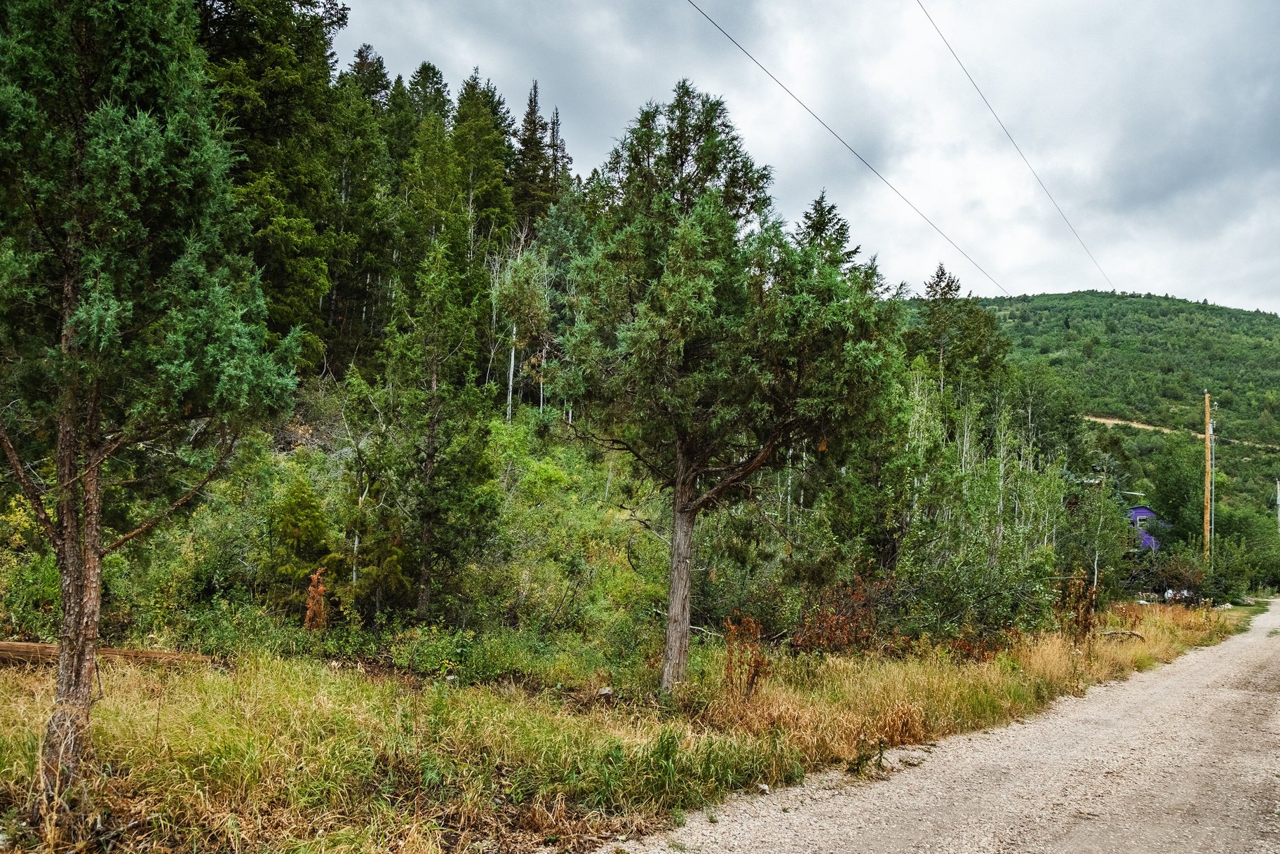  One+ Acre Off Mirror Lake Highway  Power, Septic Plan & Year Round Access - 物件實景