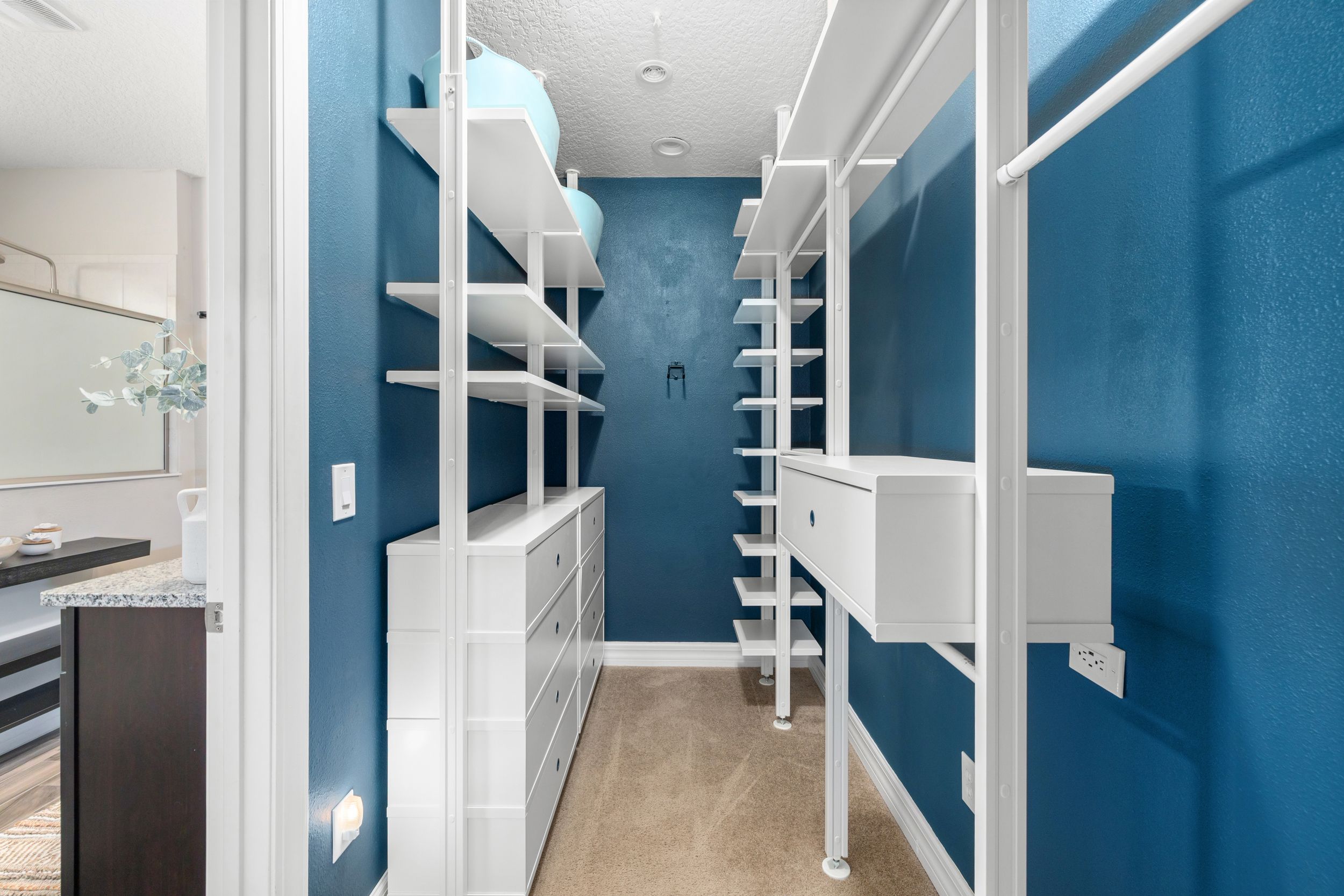  343 Front Door Lane, St. Augustine, FL, 32095 - 物件實景