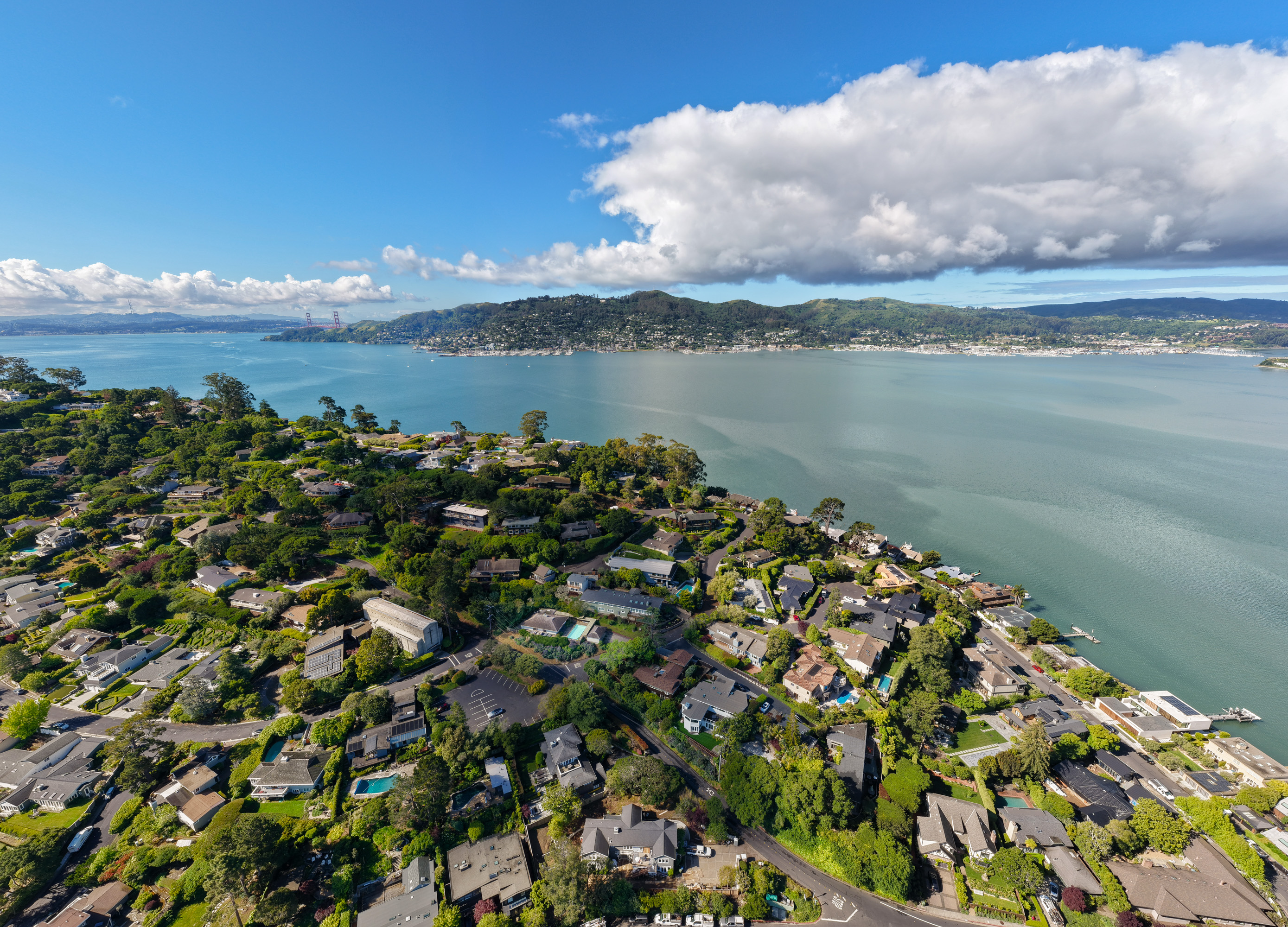  Single-Level Mid-Century Modern Home in the Coveted Flats of Belvedere - 物件實景