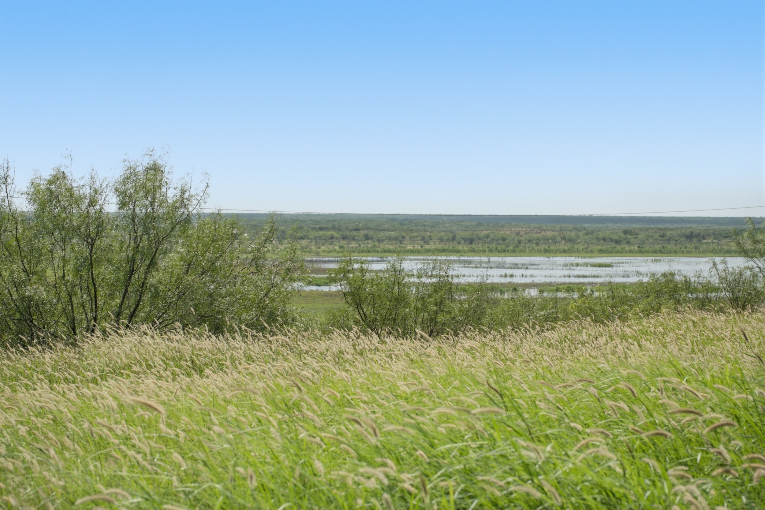  3,640+/- Acre Rosita Lake Ranch - 物件實景