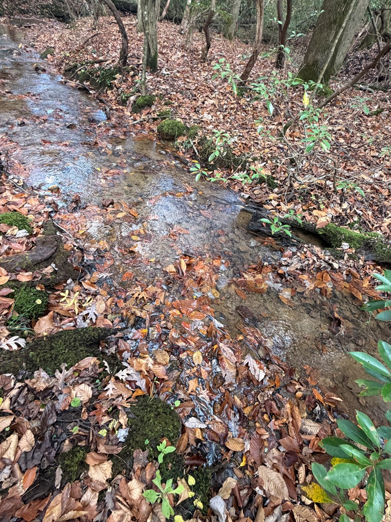 Blue Ridge, Georgia, 30513, United States, 3 Bedrooms Bedrooms, ,3 BathroomsBathrooms,Residential,For Sale,1995238