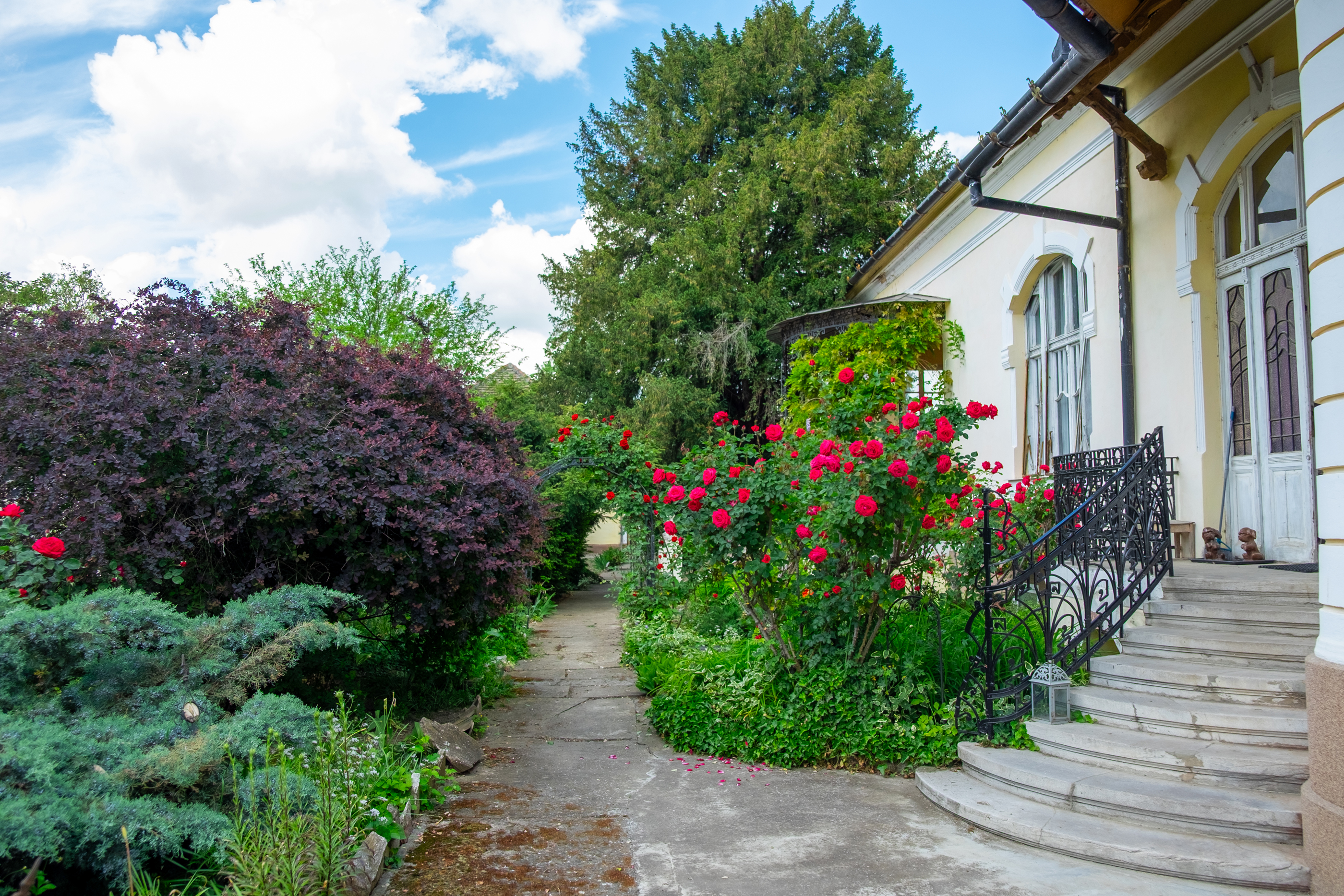  Ferch Manor - History and Tradition near Timioara - 物件實景