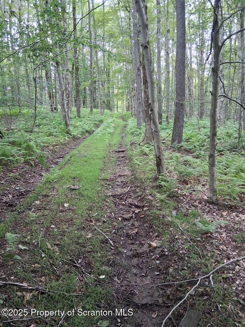 Union Dale, Pennsylvania, 18470, United States, ,Land,For Sale,1975755