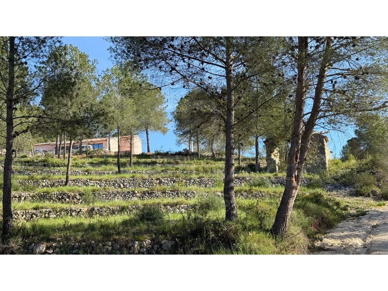 Jávea / Xàbia, Comunidad Valenciana, ES, 5 Bedrooms Bedrooms, ,5 BathroomsBathrooms,Residential,For Sale,1759817