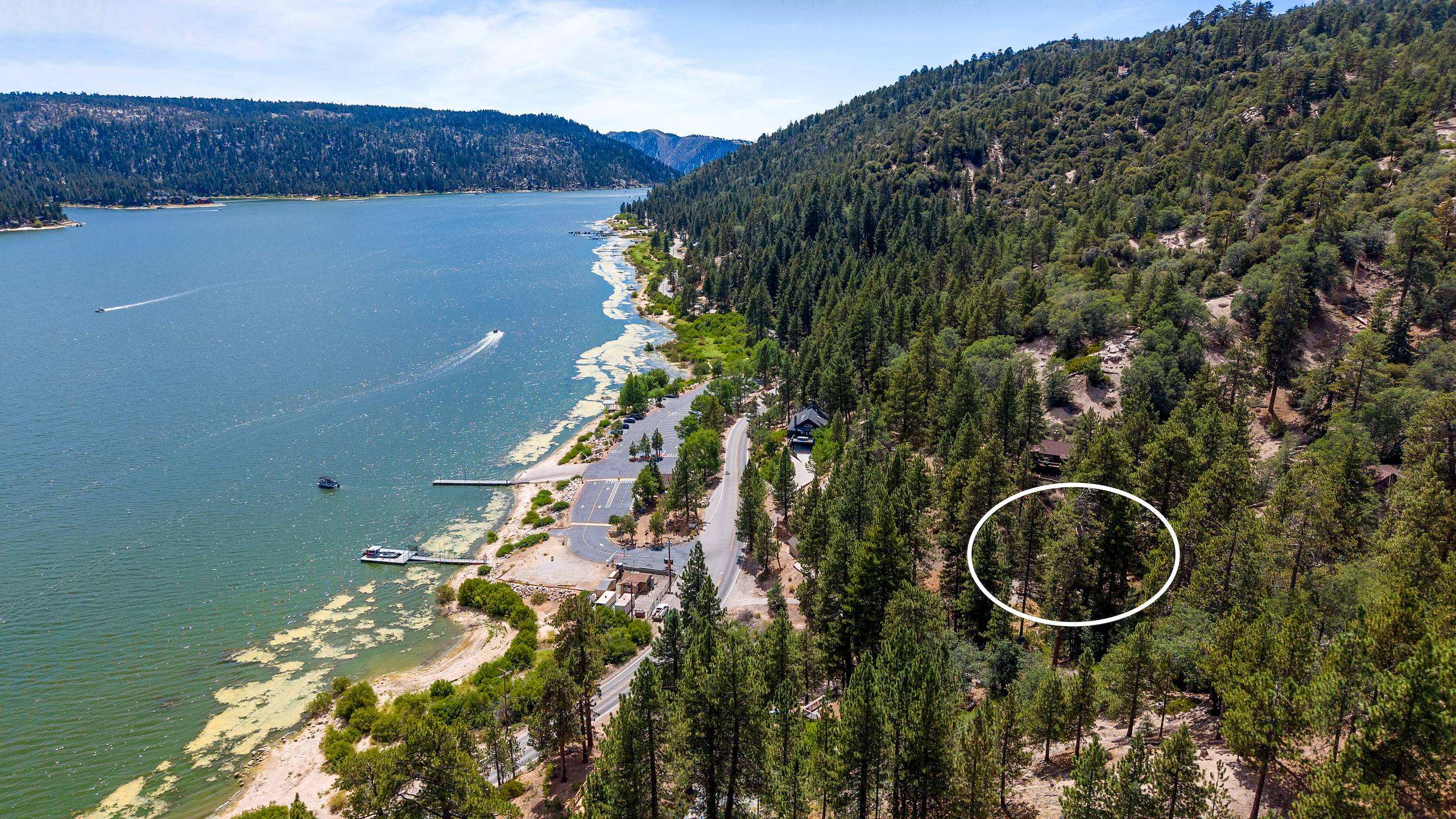  North Shore Drive, Fawnskin, CA 92333 - 物件實景