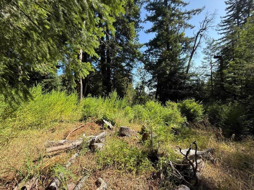Los Gatos, California, 95033, United States, ,Land,For Sale,1867562