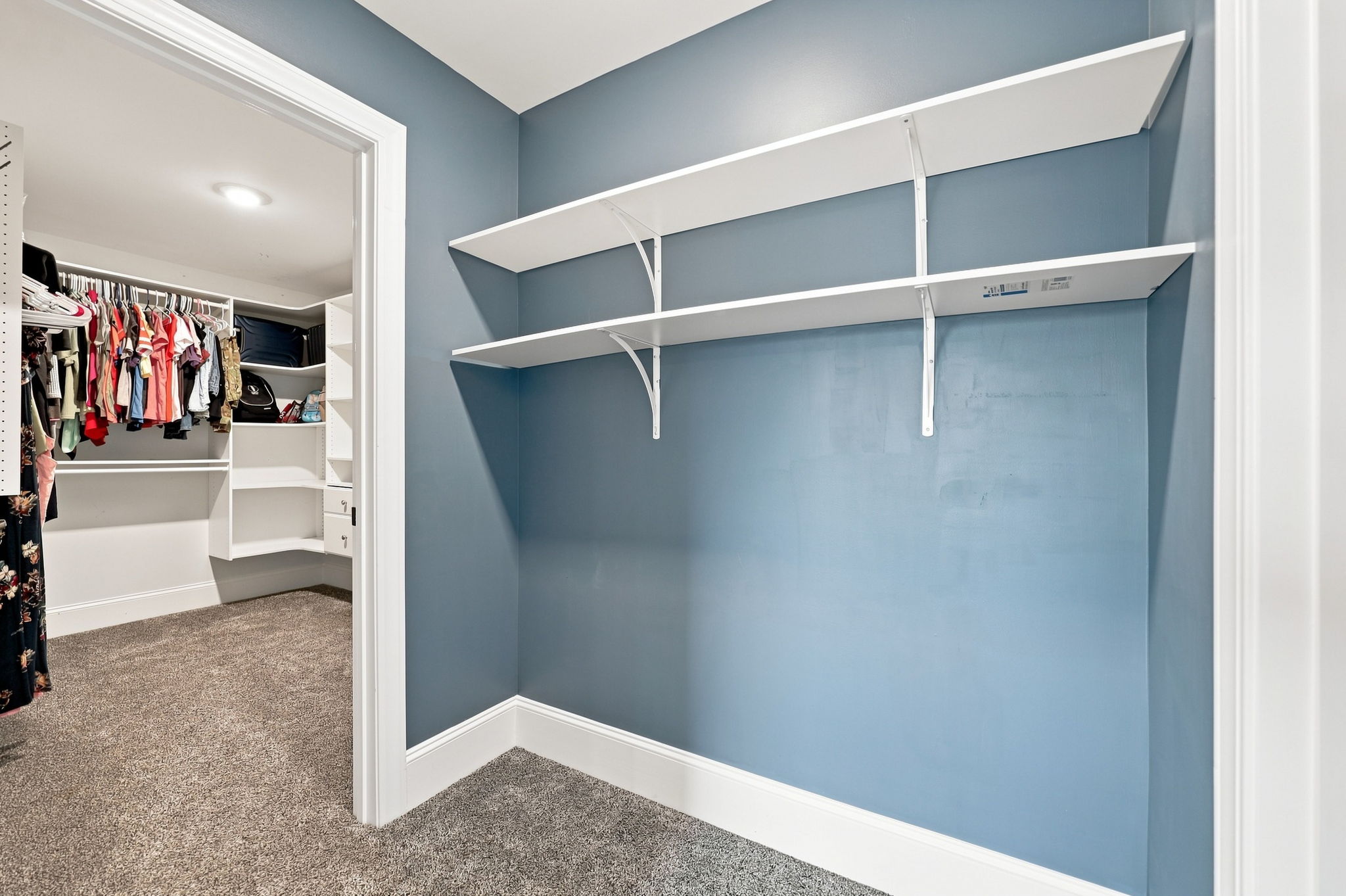  2517 Thurman Dairy Loop, Wake Forest, NC 27587 - 物件實景