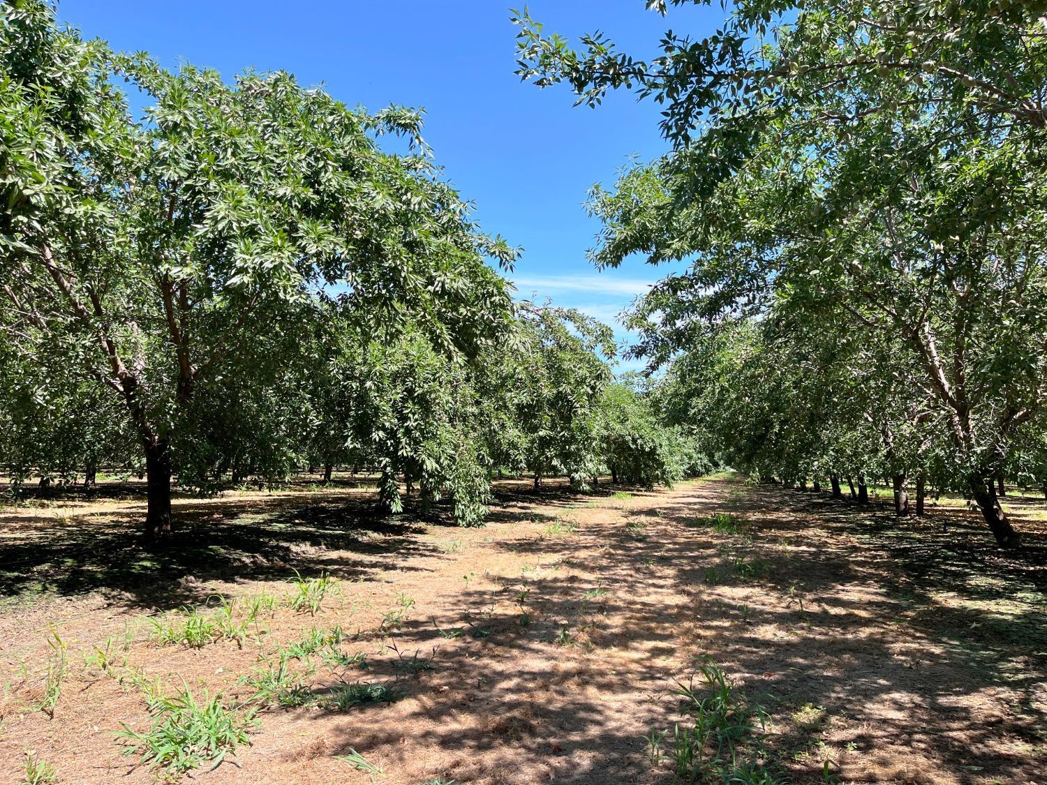 Livingston, California, 95334, United States, 4 Bedrooms Bedrooms, ,3 BathroomsBathrooms,Residential,For Sale,1978085