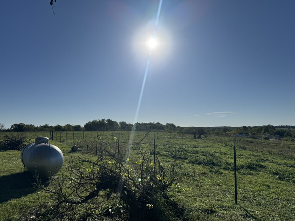 Pierce City, Missouri, 65723, United States, 2 Bedrooms Bedrooms, ,2 BathroomsBathrooms,Residential,For Sale,1987385