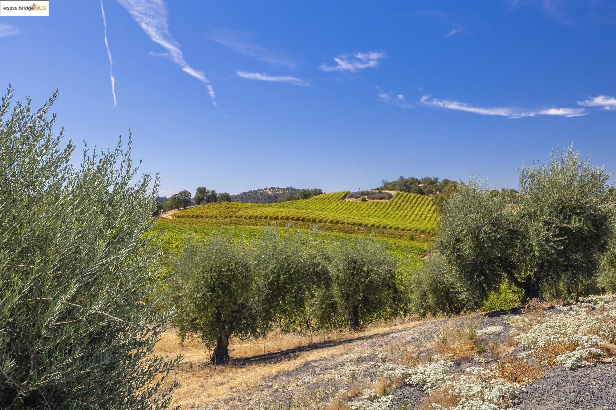 Murphys, California, 95247, United States, ,Land,For Sale,1975931