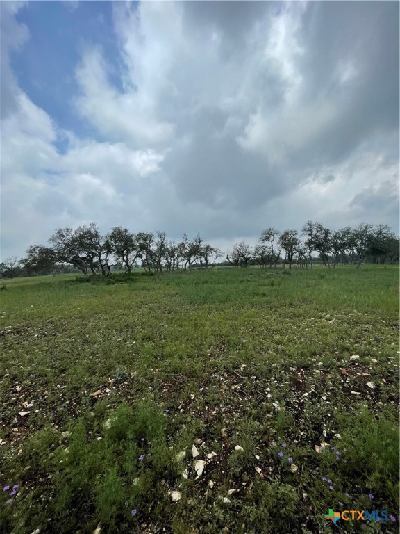 Blanco, Texas, 78606, United States, ,Land,For Sale,1877440