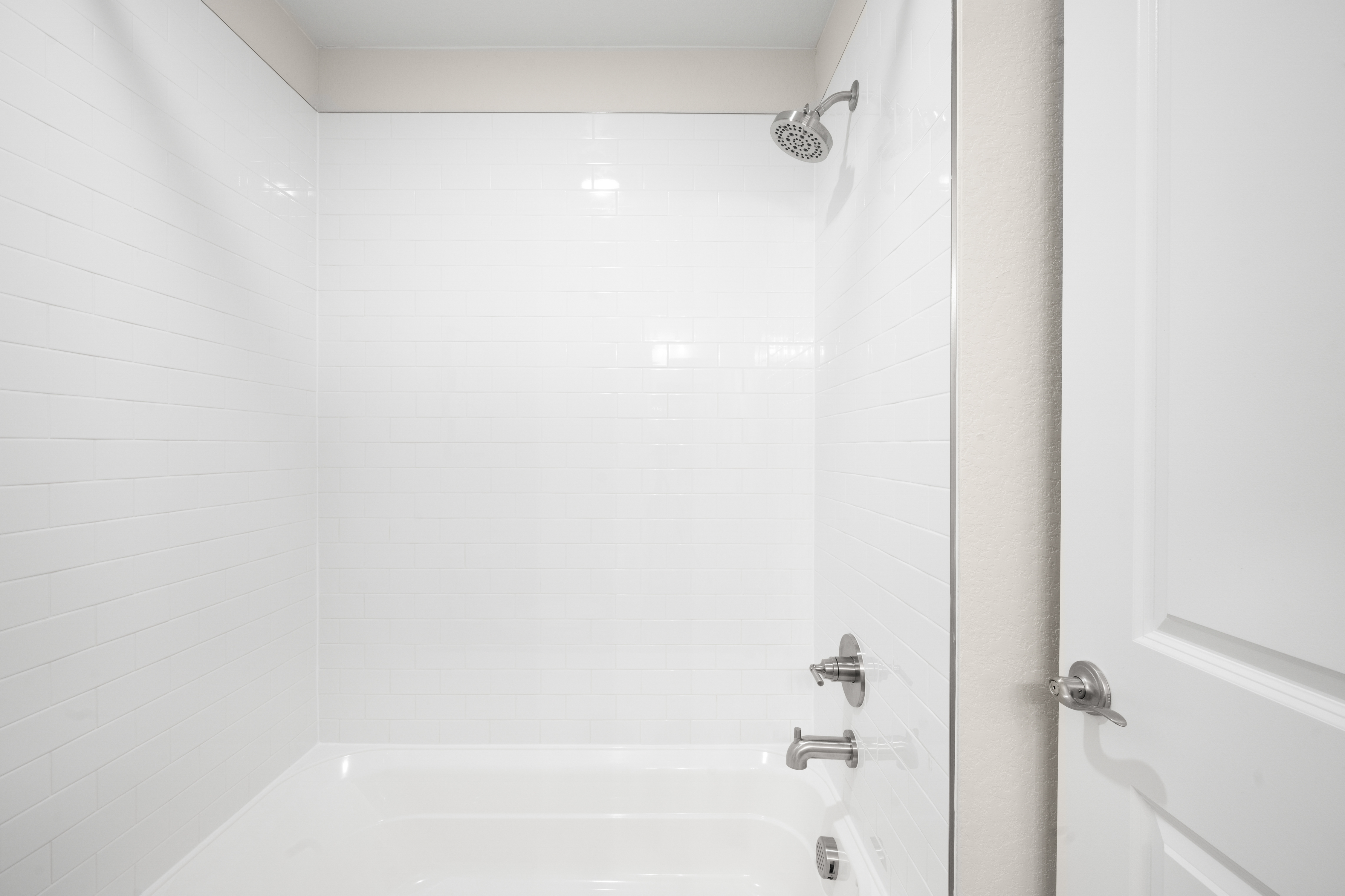  8927 Swan River Street, Littleton, CO, 80125 - 物件實景