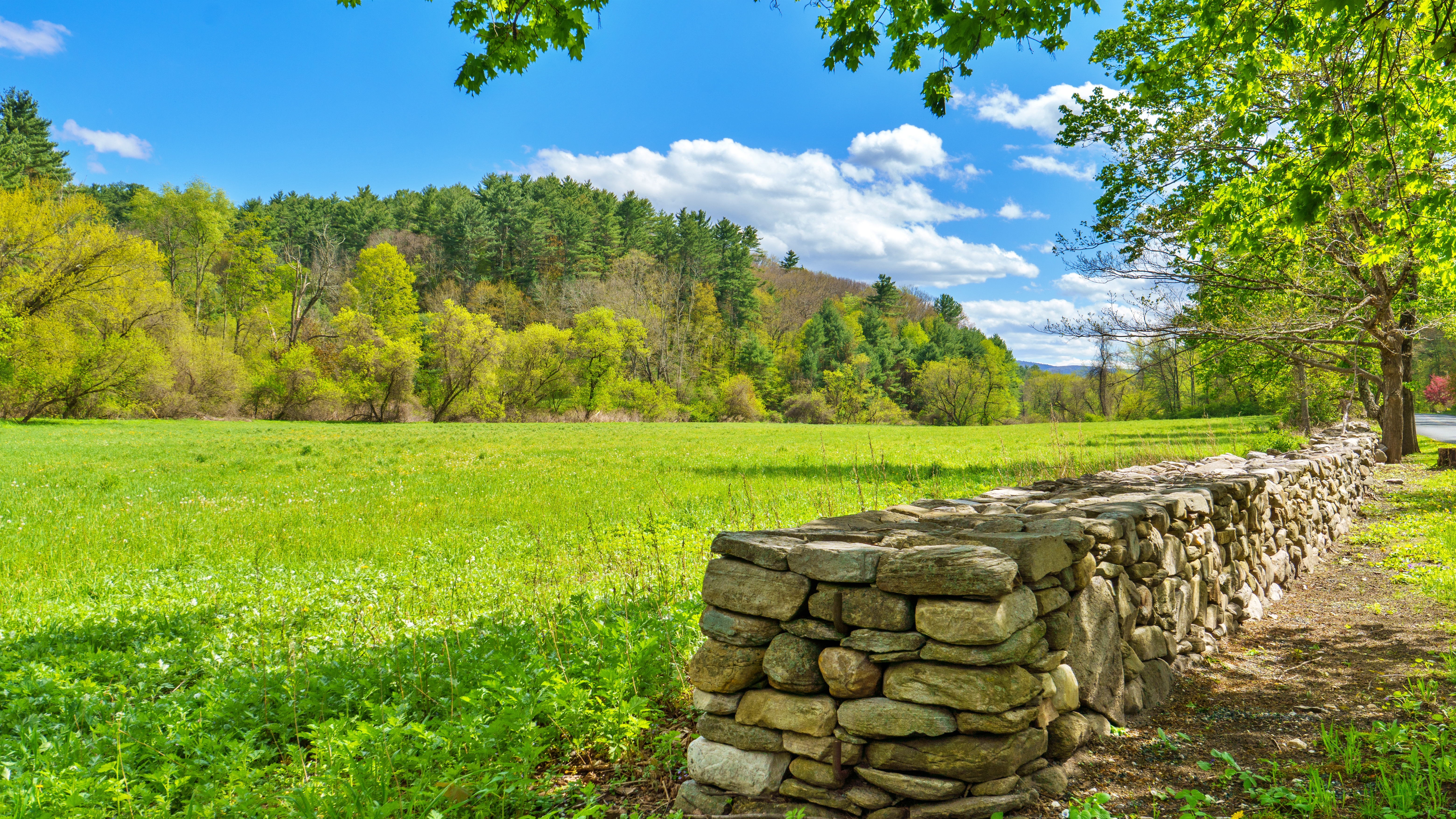  Nodin Farm: A Greek Revival Masterpiece on 130 Acres - 物件實景