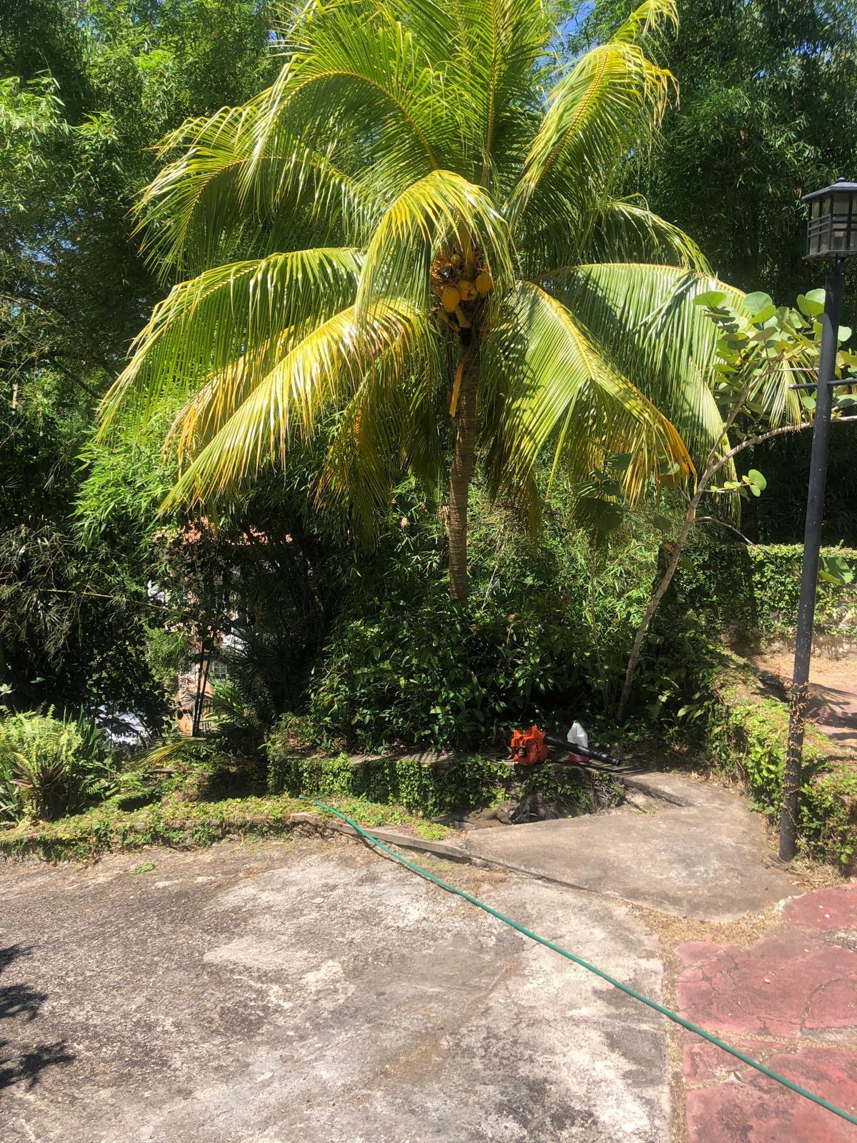 St. Ann, JM, 5 Bedrooms Bedrooms, ,3 BathroomsBathrooms,Residential,For Sale,1932933