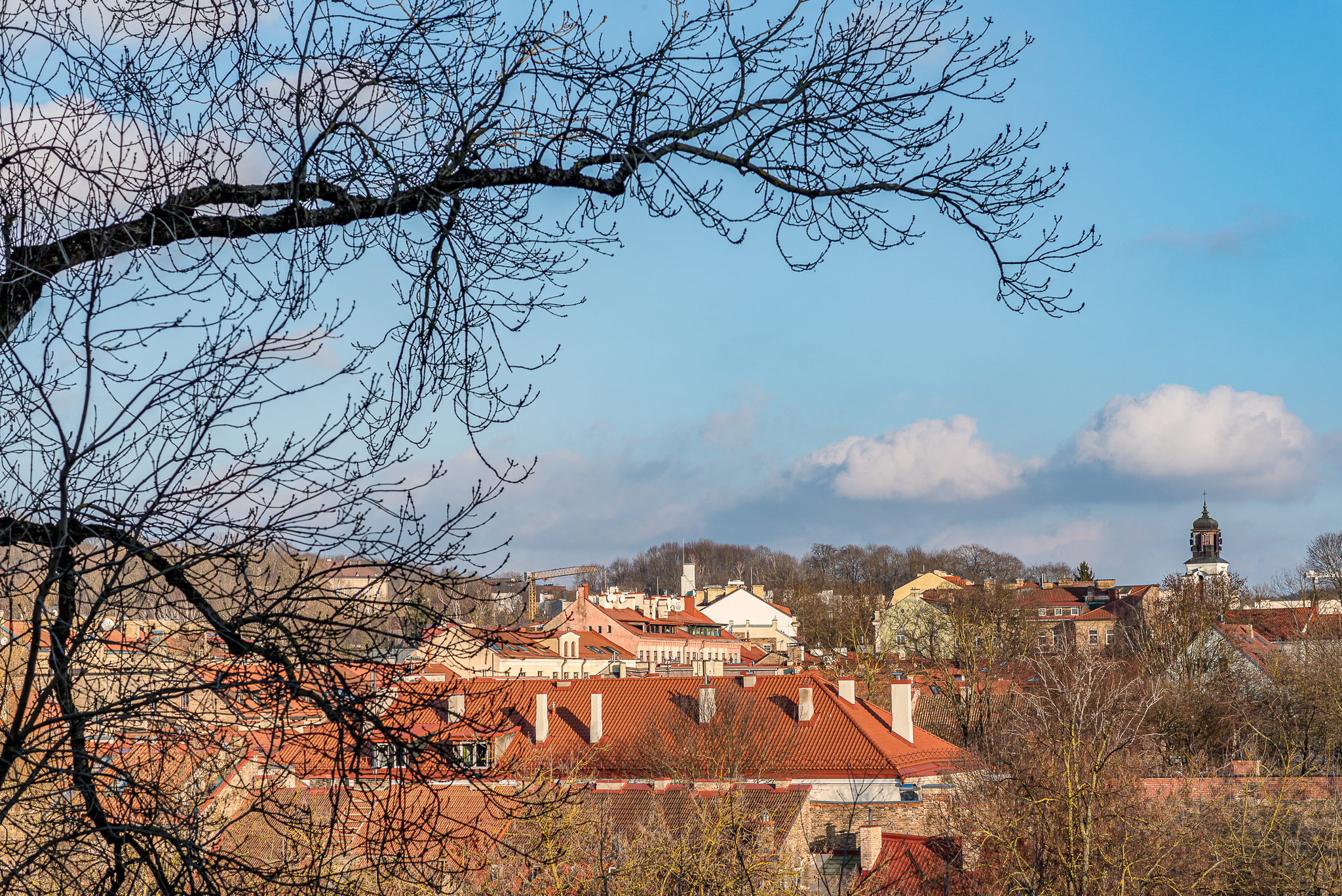  Bright and modern home in the Old Town - 物件實景