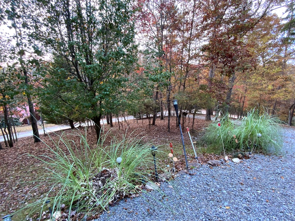 Ellijay, Georgia, 30540, United States, 3 Bedrooms Bedrooms, ,3 BathroomsBathrooms,Residential,For Sale,1859130
