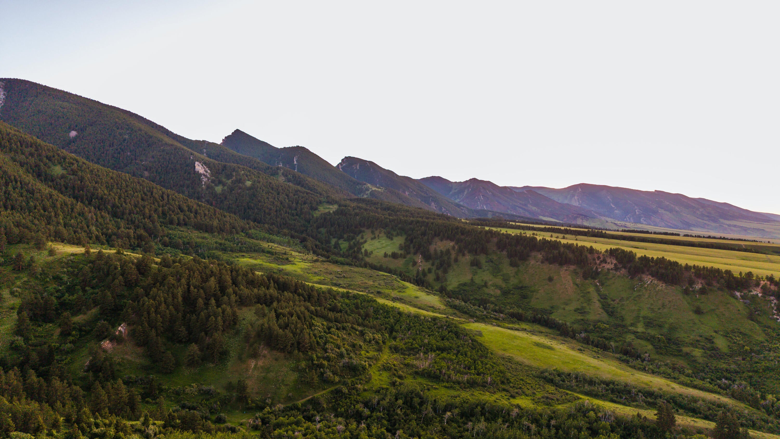 Big Horn, Wyoming, 82833, United States, ,Residential,For Sale,2011314