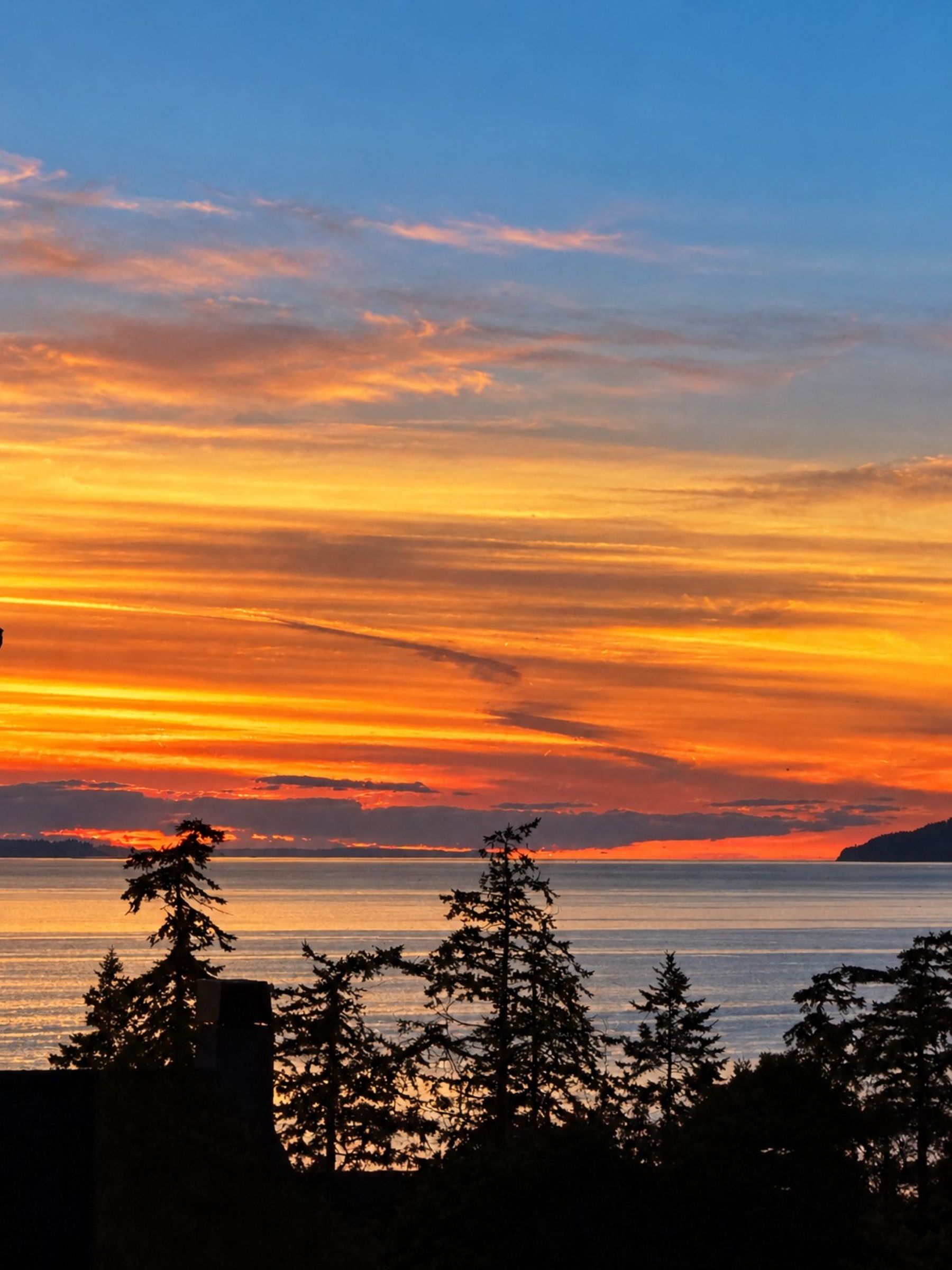  12481 Persons Rd, Bow, WA 98232 - 物件實景