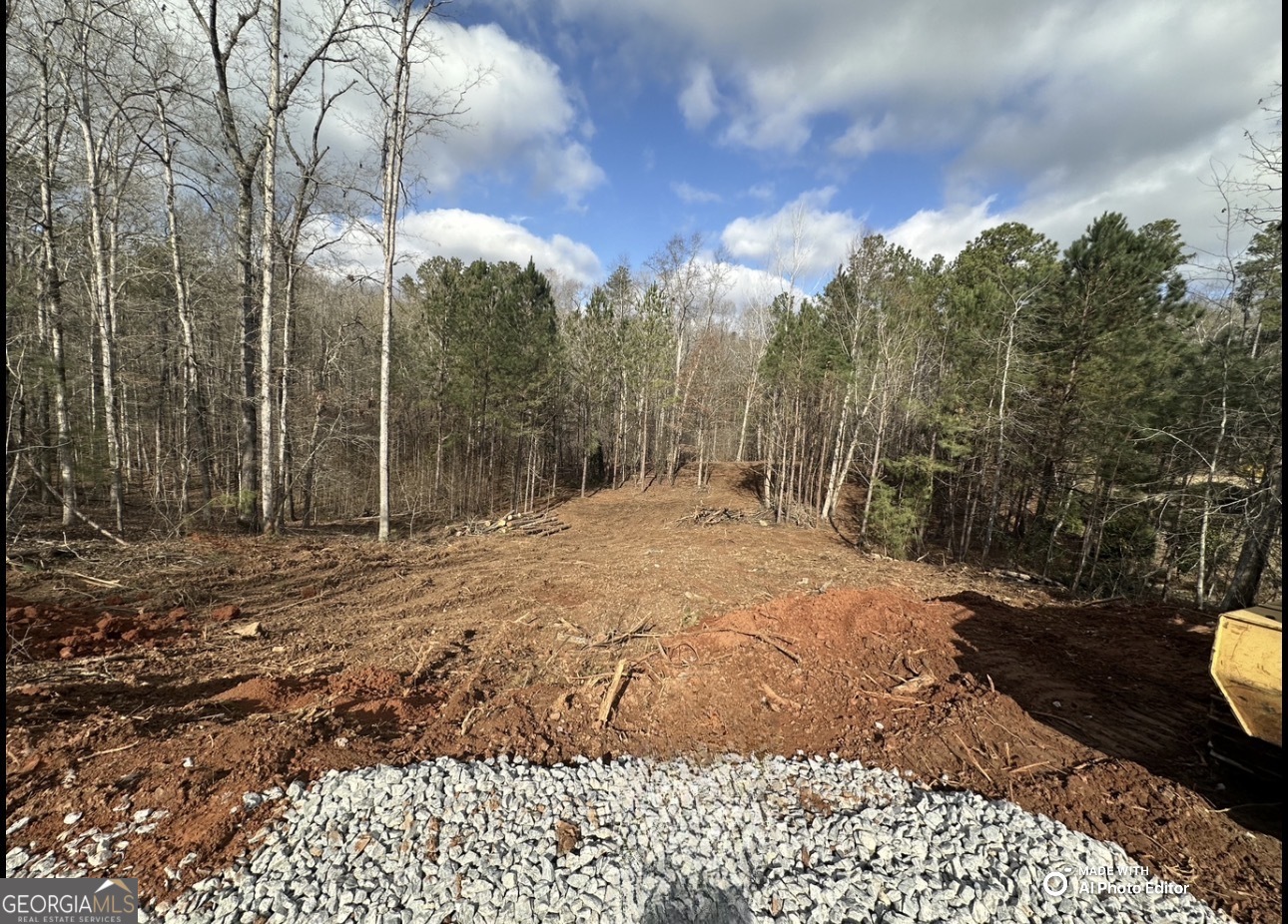 Bishop, Georgia, 30621, United States, 4 Bedrooms Bedrooms, ,4 BathroomsBathrooms,Residential,For Sale,2001856