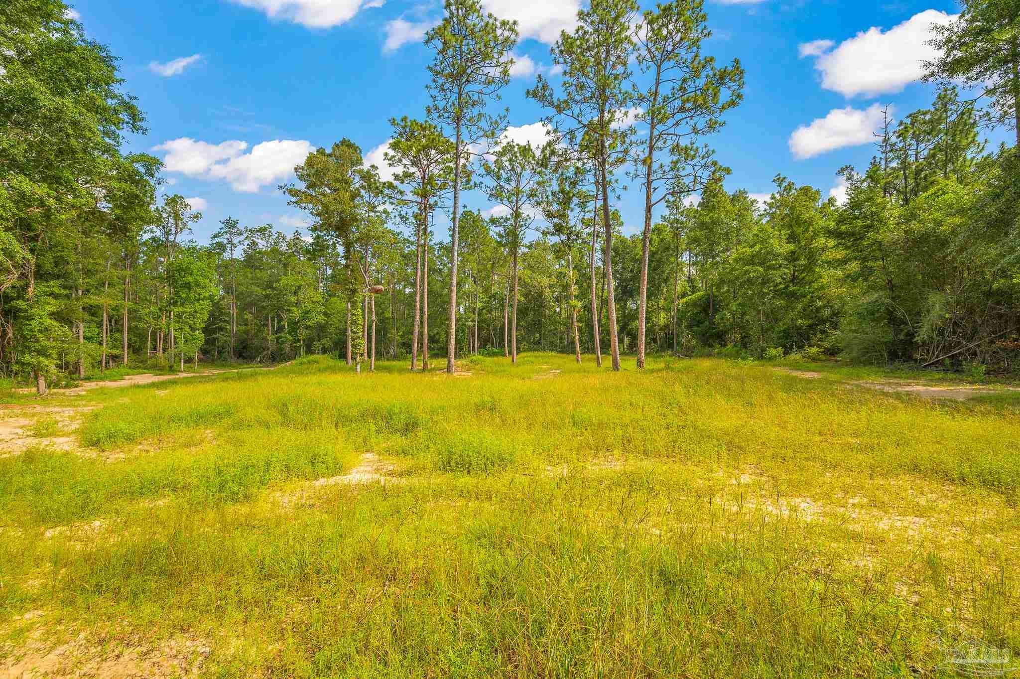 Molino, Florida, 32577, United States, 4 Bedrooms Bedrooms, ,3 BathroomsBathrooms,Residential,For Sale,1876750