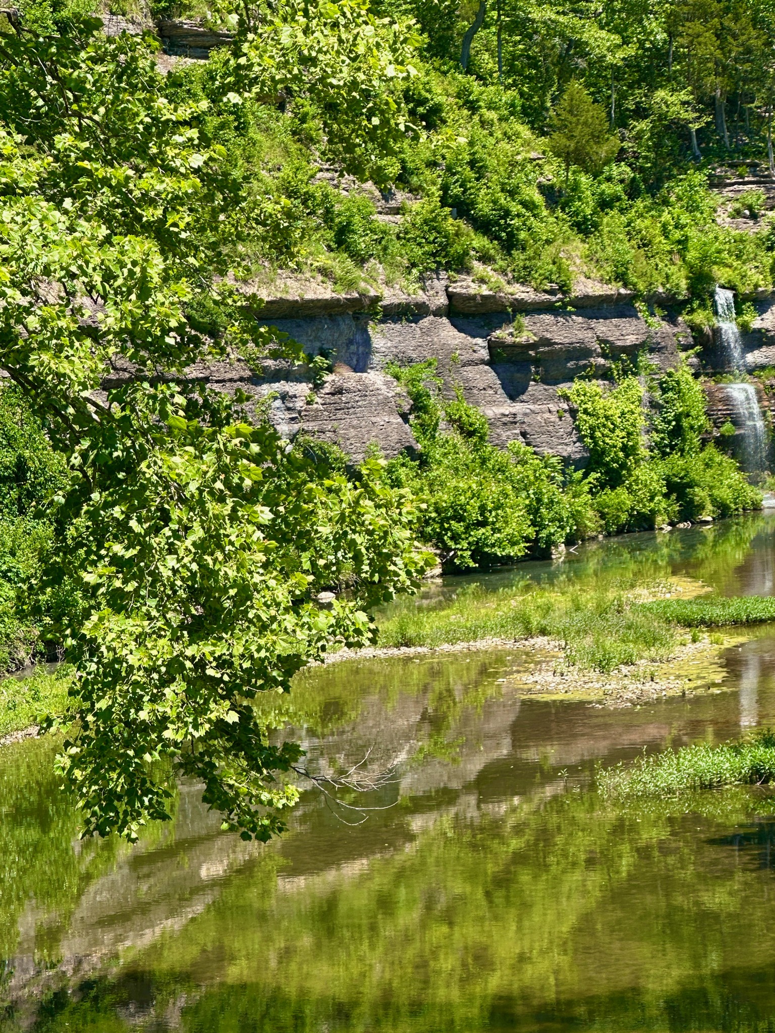  1011 Champion Hills Dr, Kingston Springs, TN, 37082 - 物件實景