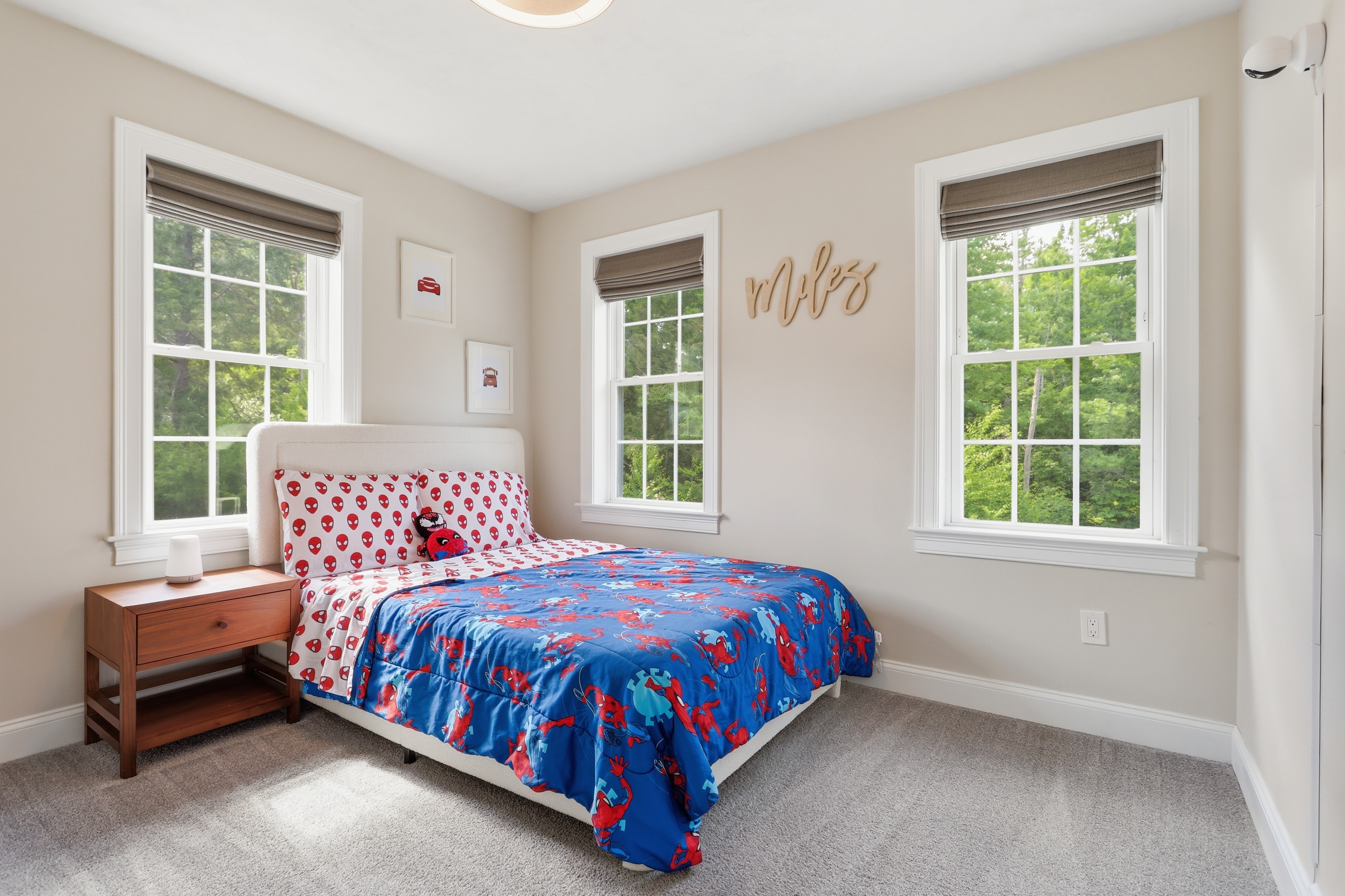  7 Stephanie drive, Holden, MA 01520 - 物件實景
