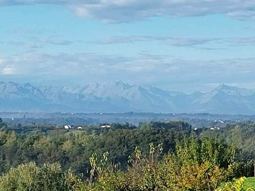 Localit? riviera, Monforte d'Alba, Cuneo, 12065, IT, 3 Bedrooms Bedrooms, ,3 BathroomsBathrooms,Residential,For Sale,Localit? riviera,1639521