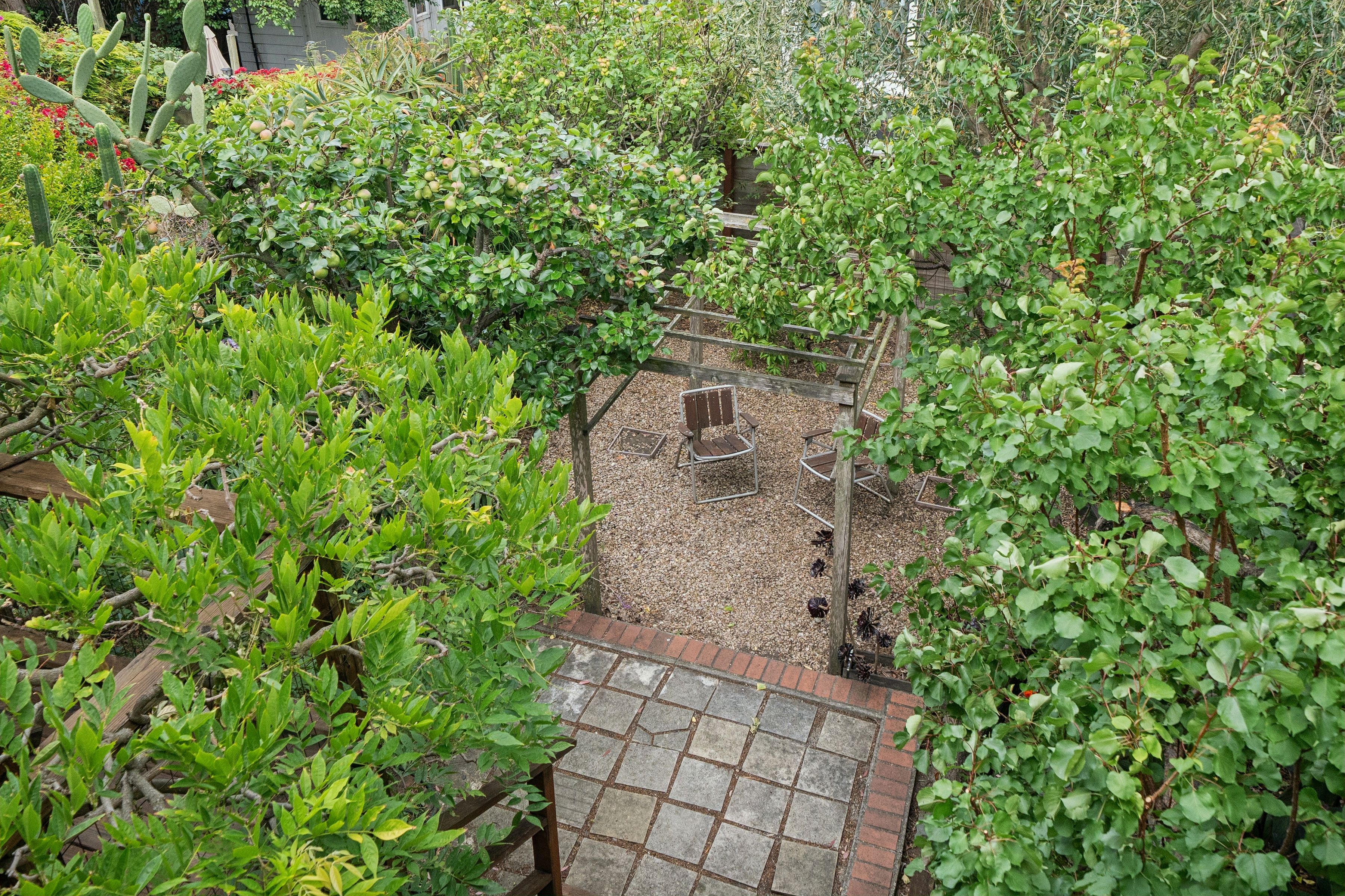  INNER MISSION OASIS with INCOME - 物件實景