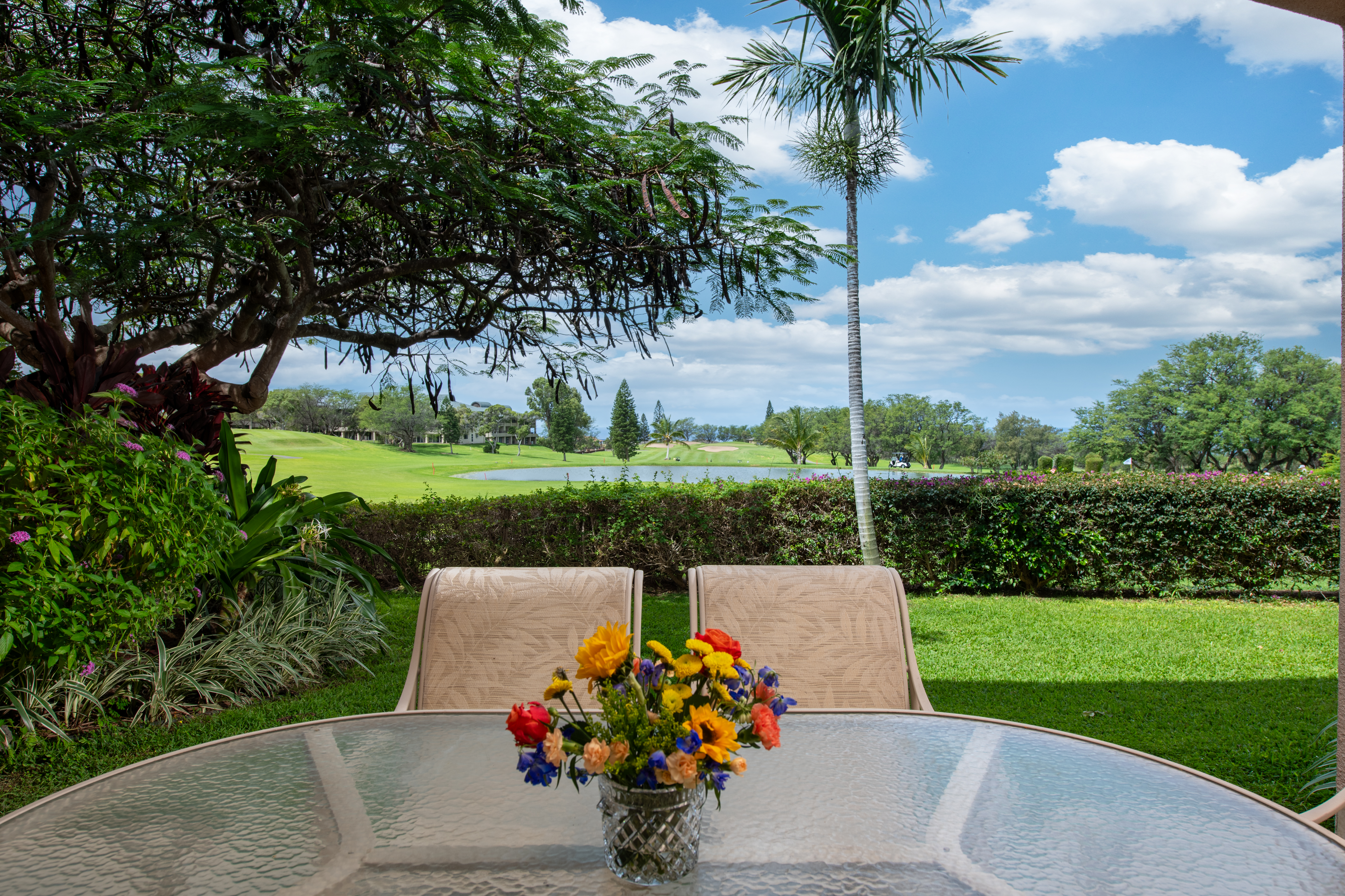  68-1754 Melia Street, Waikoloa Village, HI 96738 - 物件實景