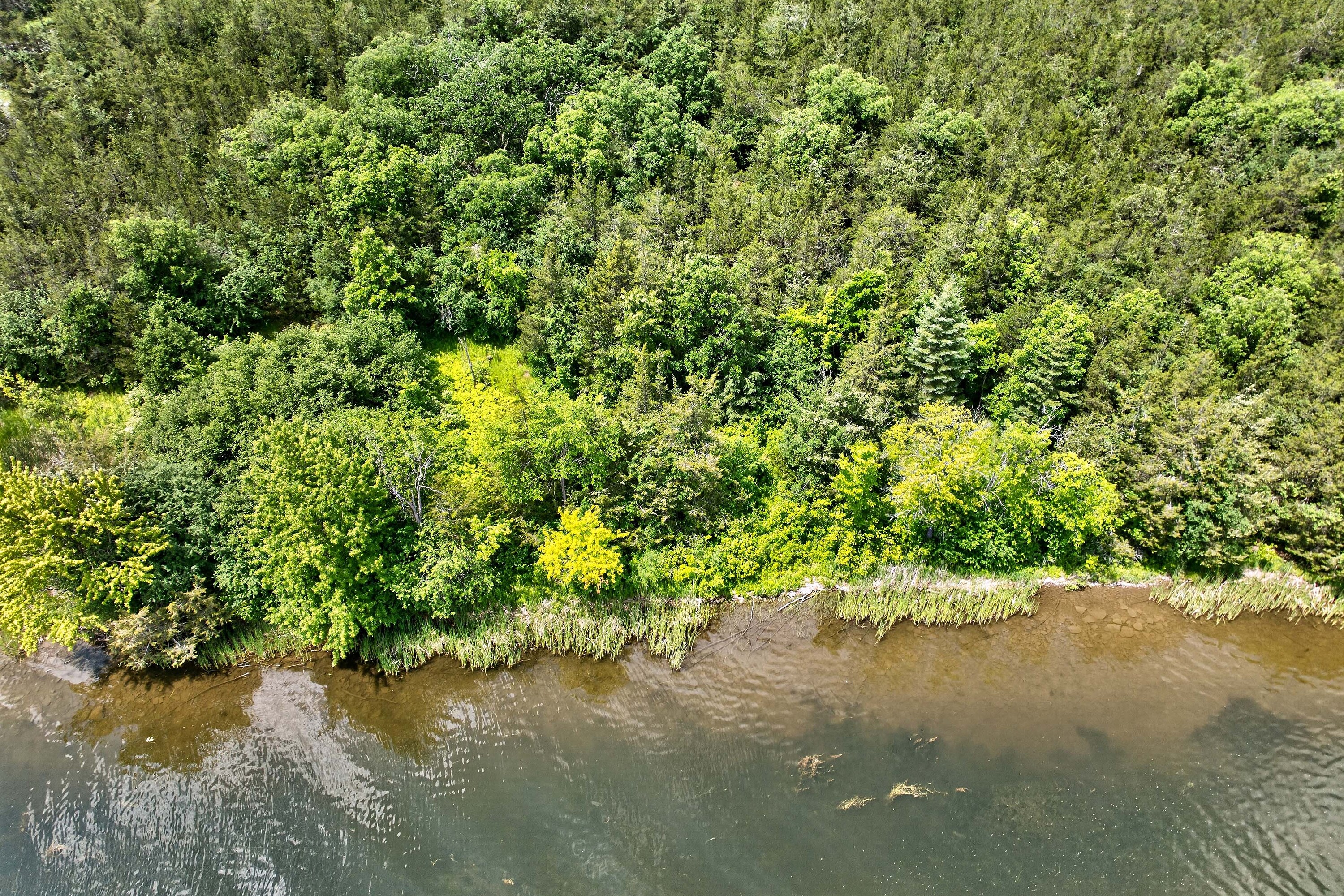 Trent Hills, Eastern Ontario - 物件實景