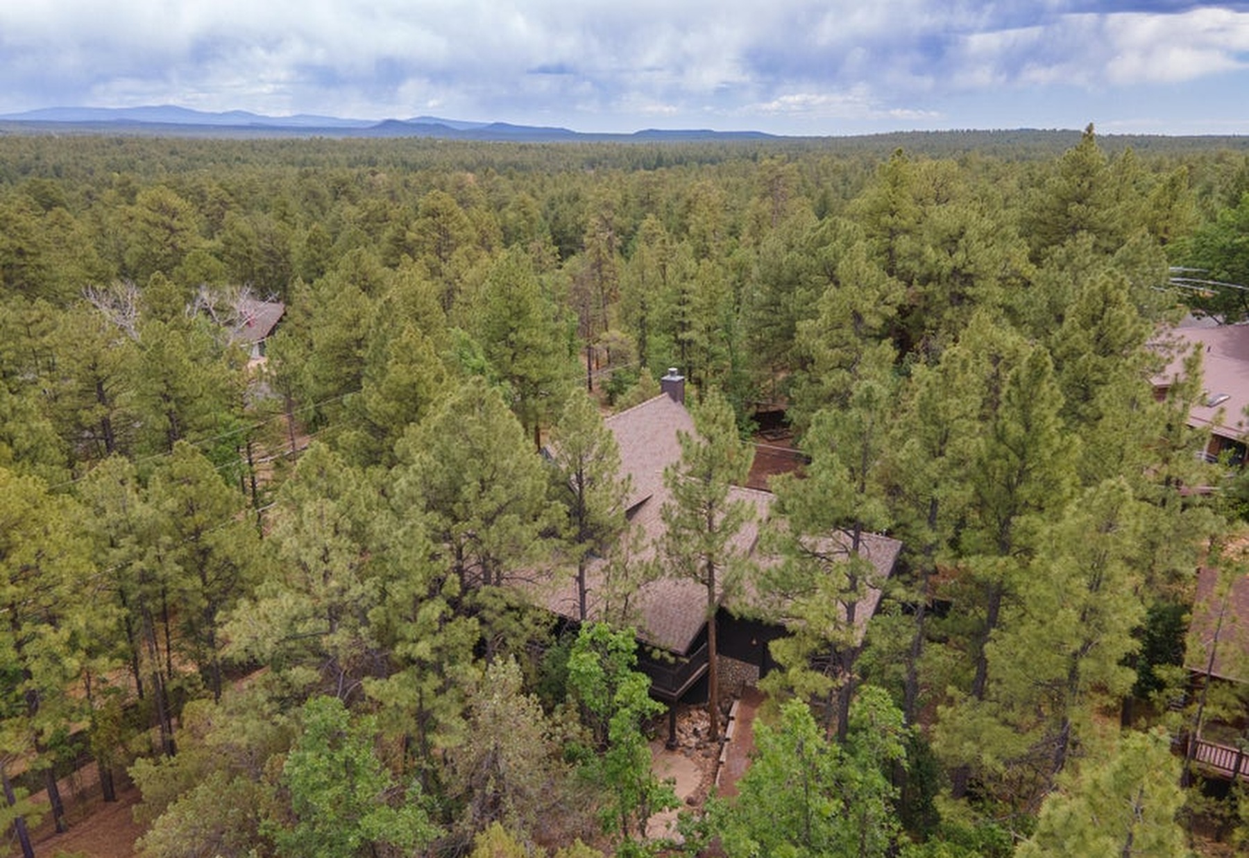  4732 High Drive, Lakeside, AZ, 85929 - 物件實景