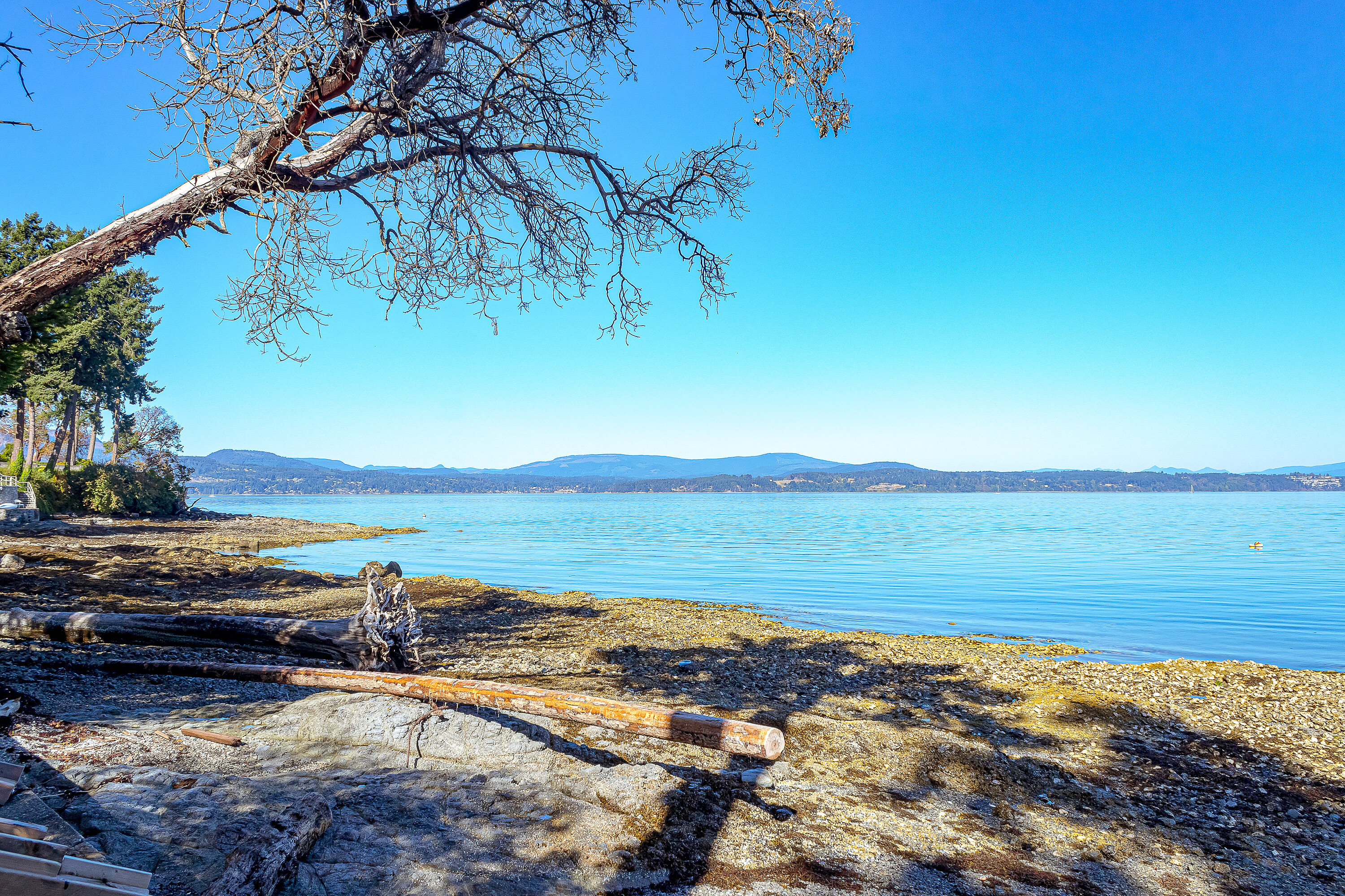  Prime Waterfront Home - 物件實景