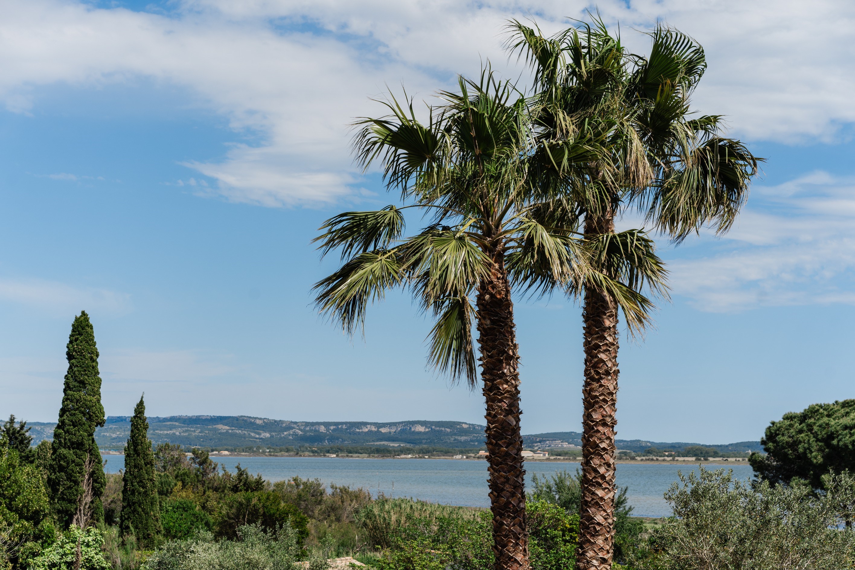  Exceptional home with lagoon views - 物件實景