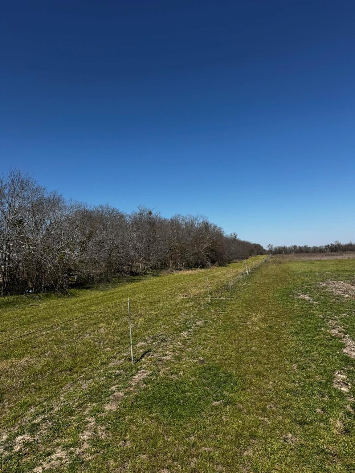 Thorndale, Texas, 76577, United States, ,Land,For Sale,1980741