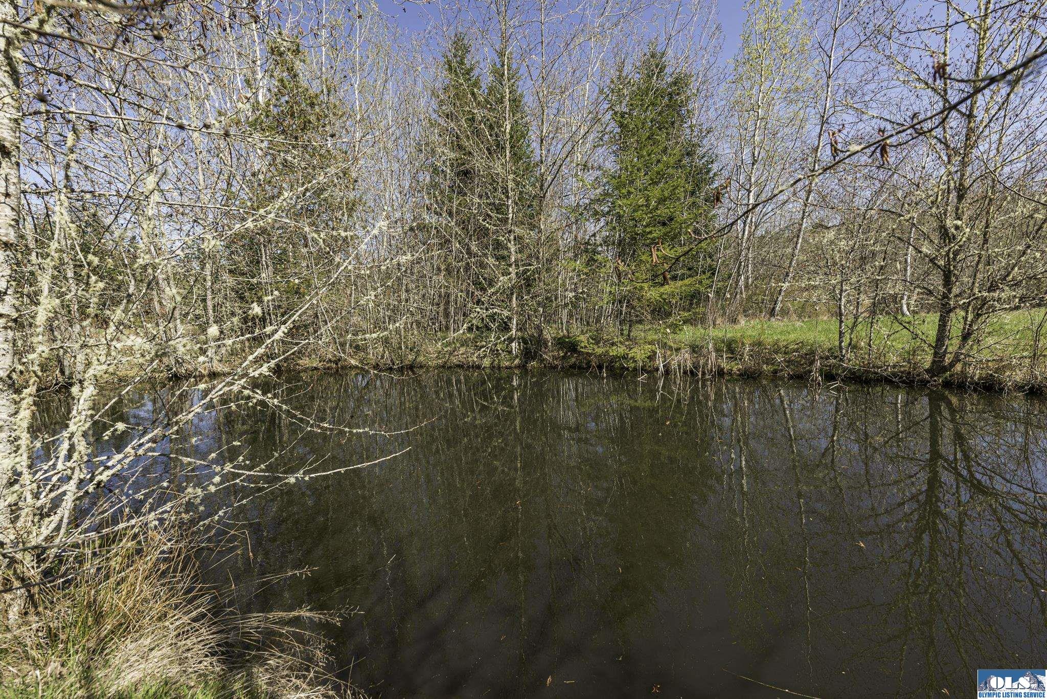 Sequim, Washington, 98382, United States, ,Land,For Sale,1787569