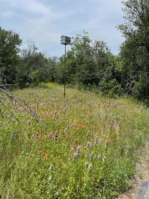 Fort Worth, Texas, 76179, United States, 4 Bedrooms Bedrooms, ,2 BathroomsBathrooms,Residential,For Sale,1993877