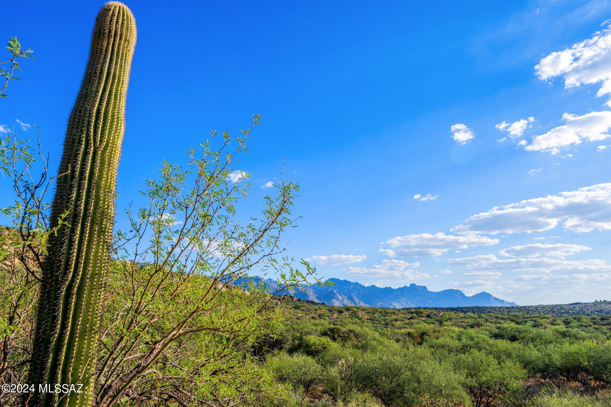Tucson, Arizona, 85739, United States, ,Land,For Sale,1744993