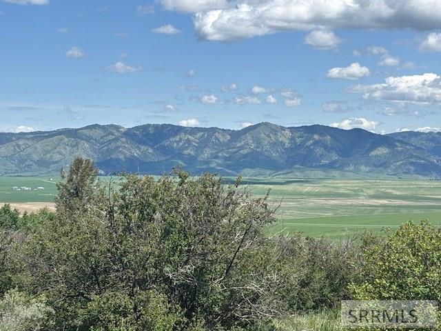 RIRIE, Idaho, 83443, United States, ,Residential,For Sale,1974893