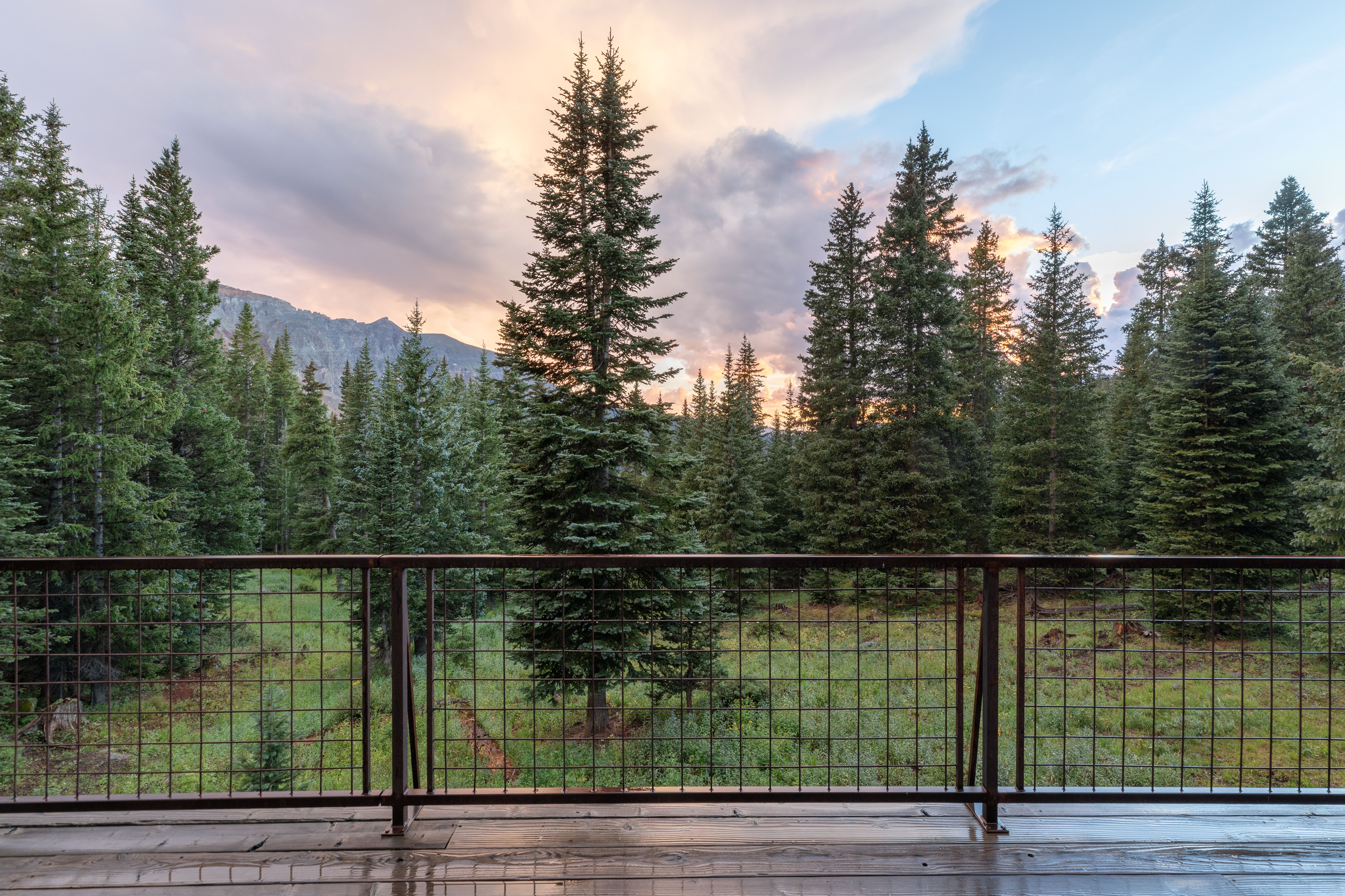  Private Mountain Retreat outside of Telluride - 物件實景