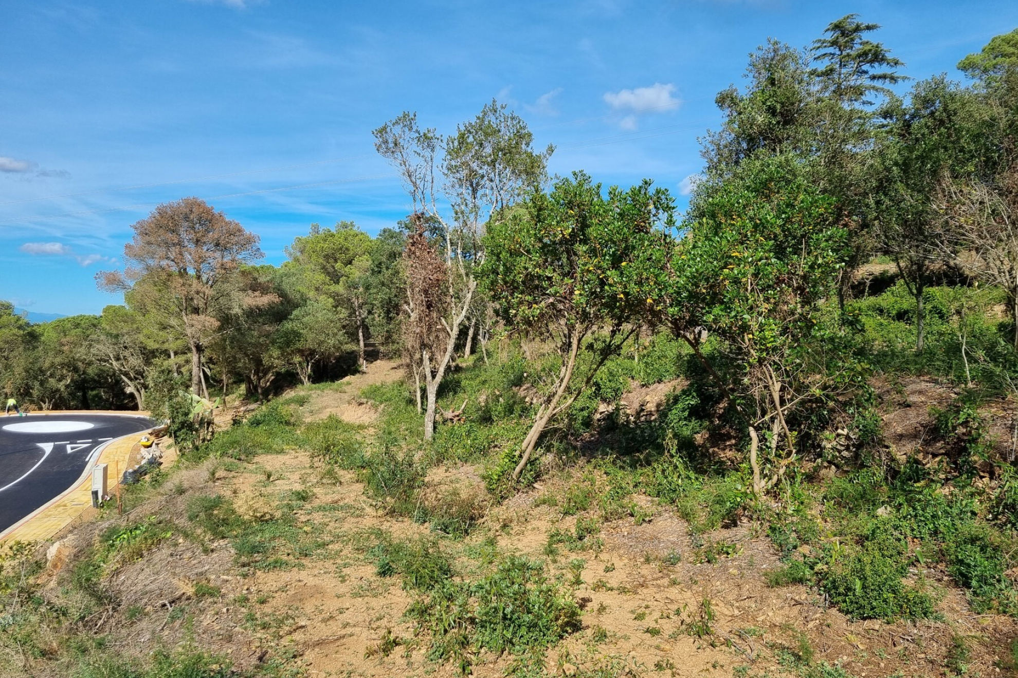  Fantastic south facing plots in the village of Begur - 物件實景