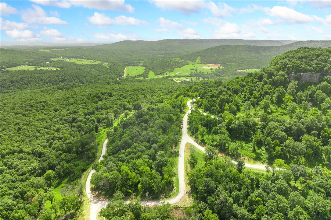 Harrison, Arkansas, 72601, United States, ,Land,For Sale,1903460