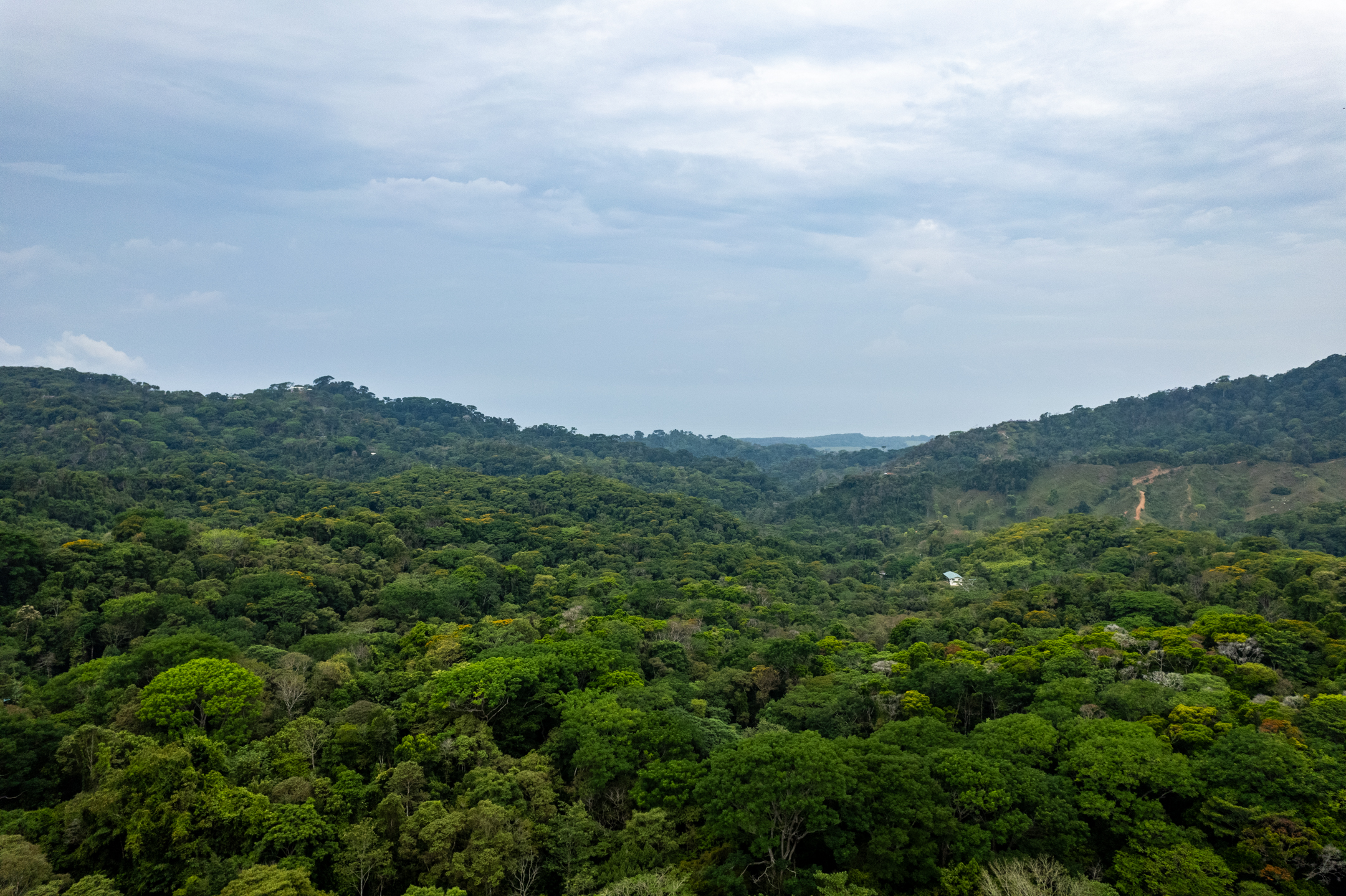 Lagunas, Dominical, Puntarenas, CR, 2 Bedrooms Bedrooms, ,1 BathroomBathrooms,Land,For Sale,Lagunas,1589118