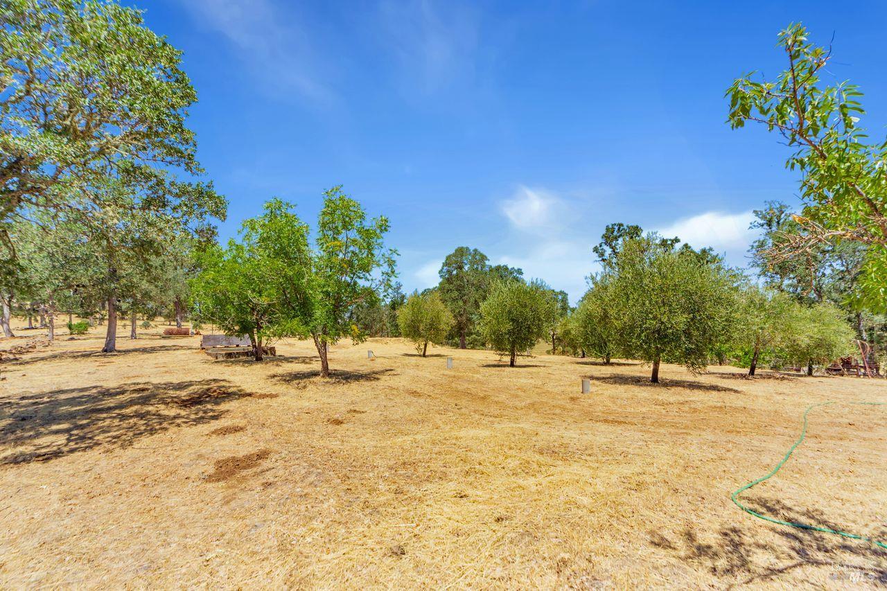 Middletown, California, 95461, United States, ,2 BathroomsBathrooms,Residential,For Sale,1897361