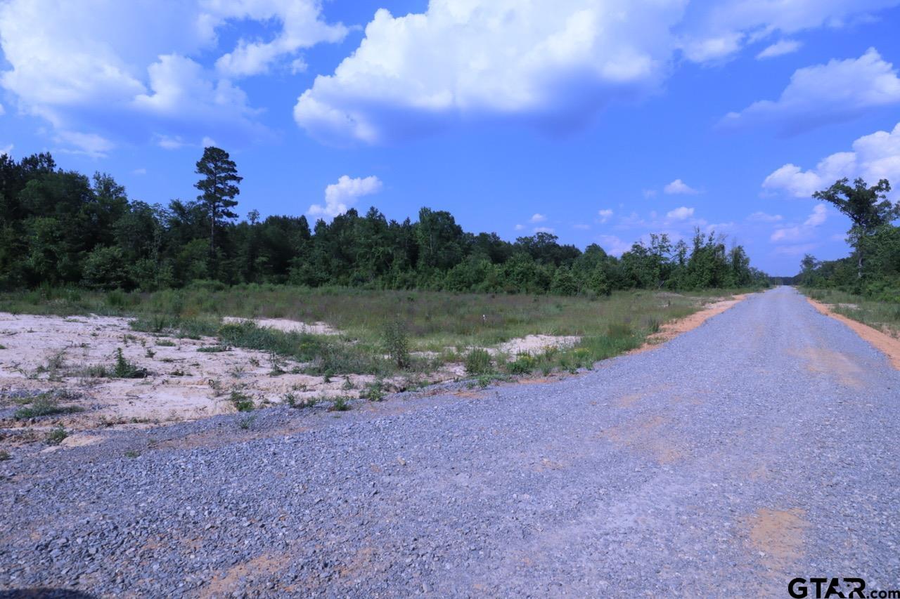 TBD Intersection CR 1324 & CR 1301, Marshall, Texas, 75672, United States, ,Land,For Sale,TBD Intersection CR 1324 & CR 1301,1610763
