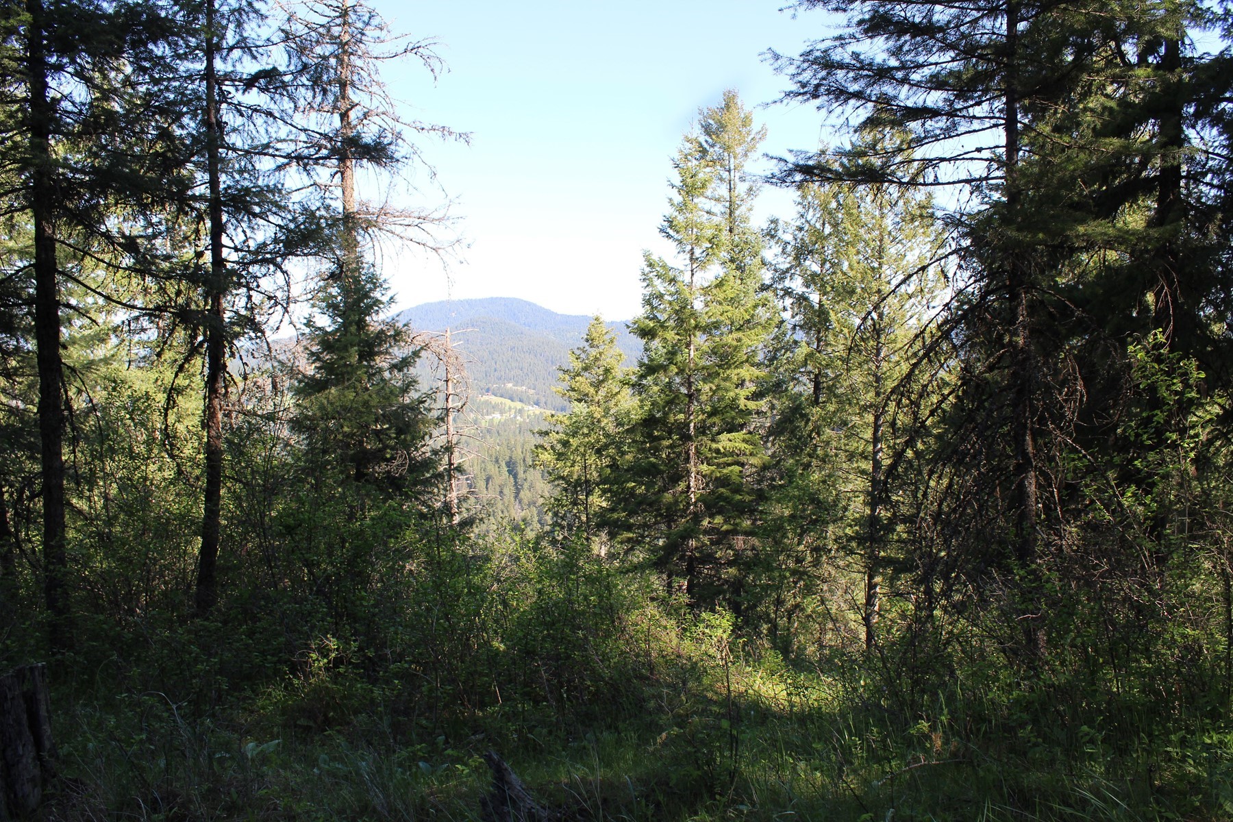  881 S Allen Rd and 2714 E Haven Dr Coeur d